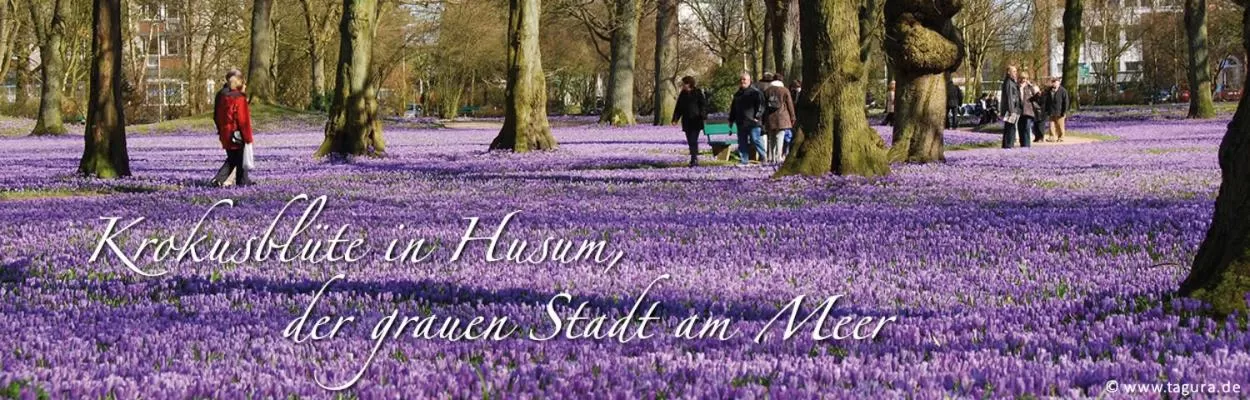 Nearby landmark in Hotel Goos