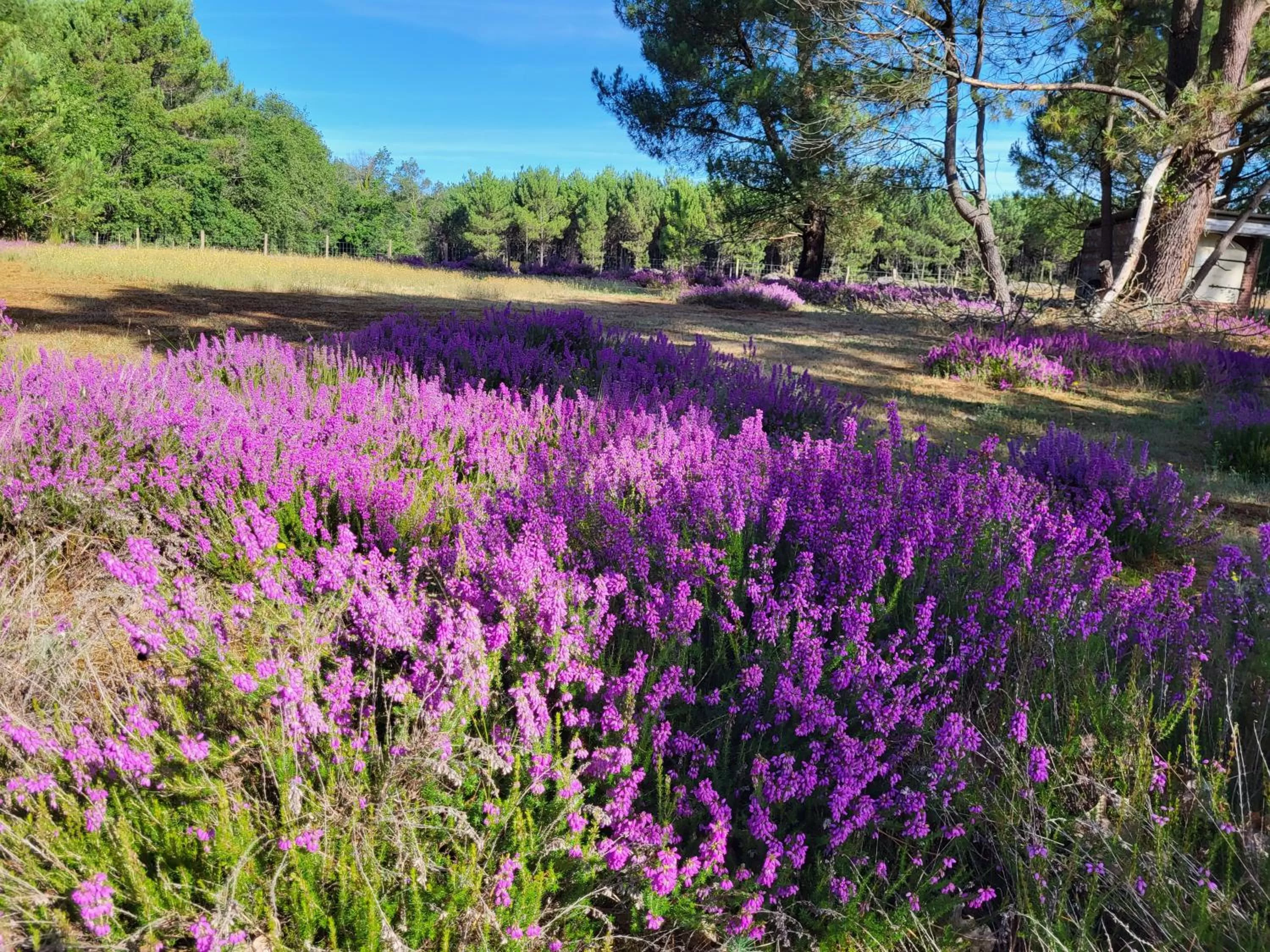 Domaine de La Sarrotte