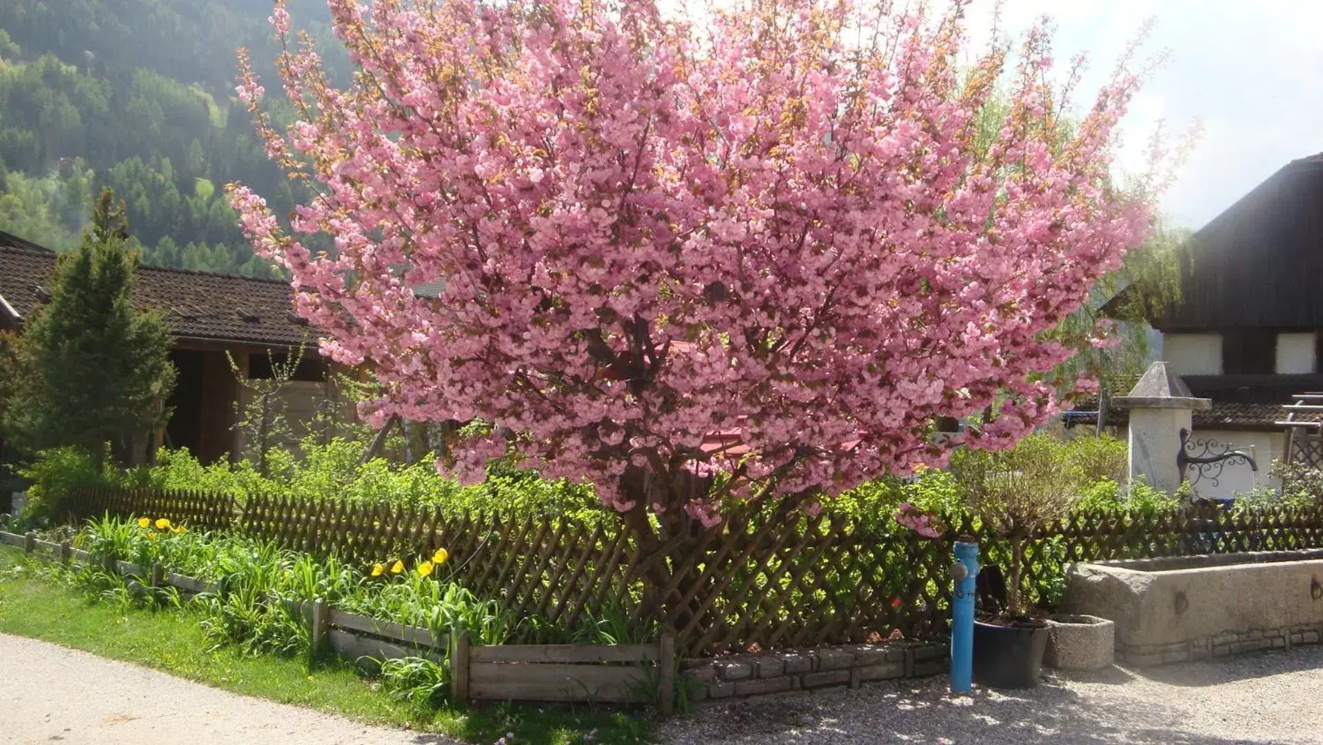 Garden in Residence Obermoarhof