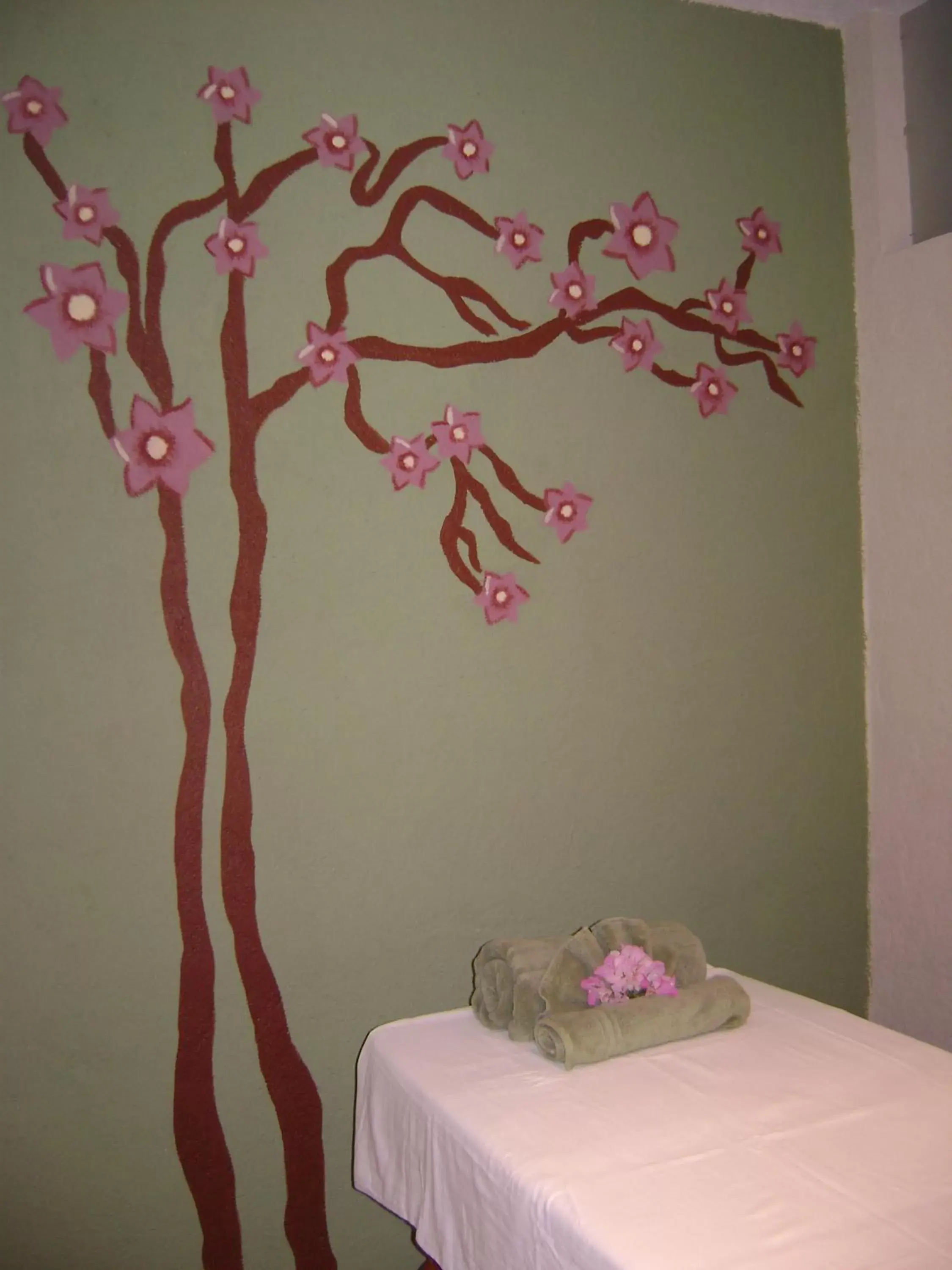 Massage, Bed in Hotel Boutique La Granja