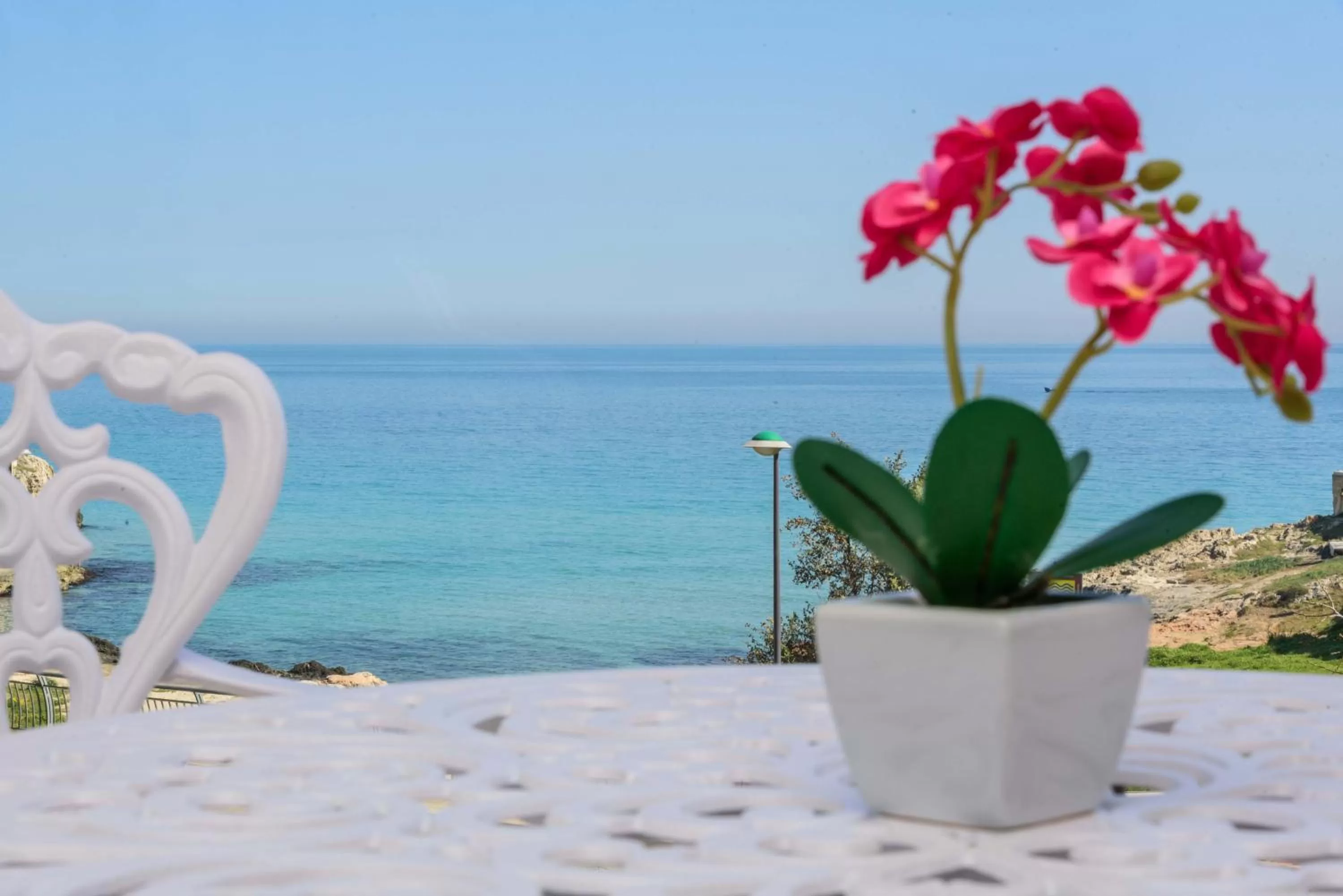 Balcony/Terrace in Bellariva Monopoli B&B e Relax