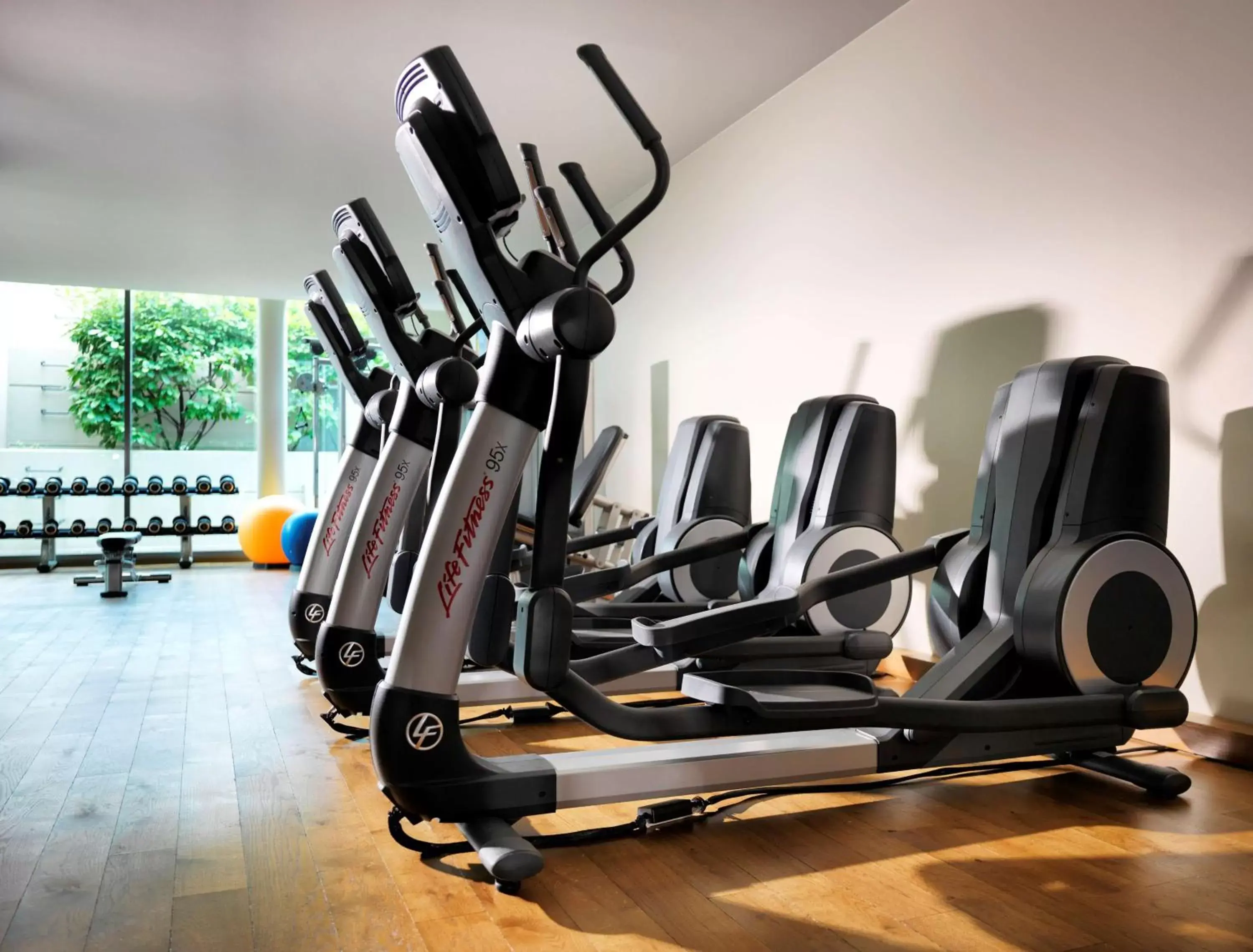 Spa and wellness centre/facilities, Fitness Center/Facilities in Hyatt Regency Mainz