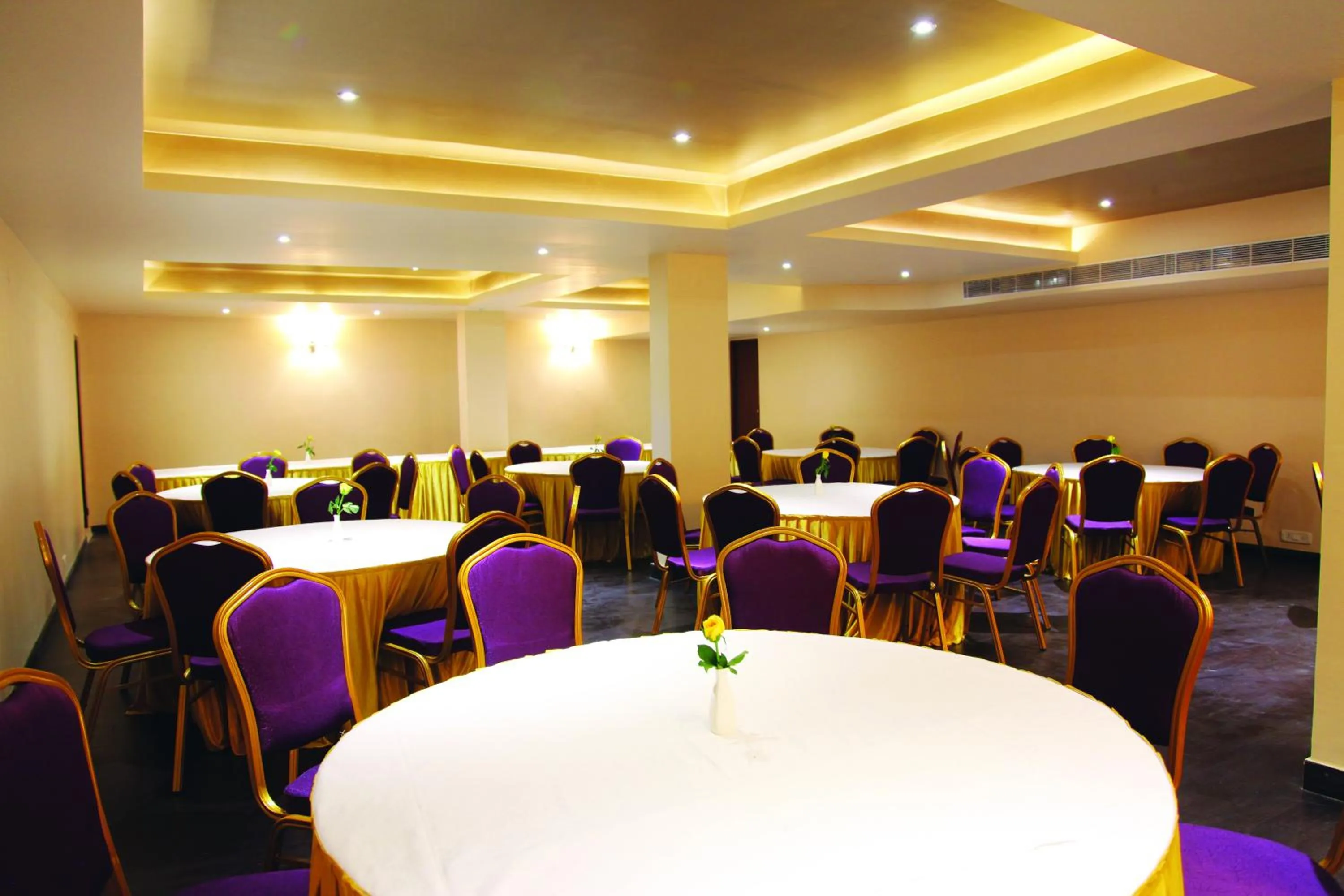 Banquet/Function facilities in The Purple Leaf Hotels