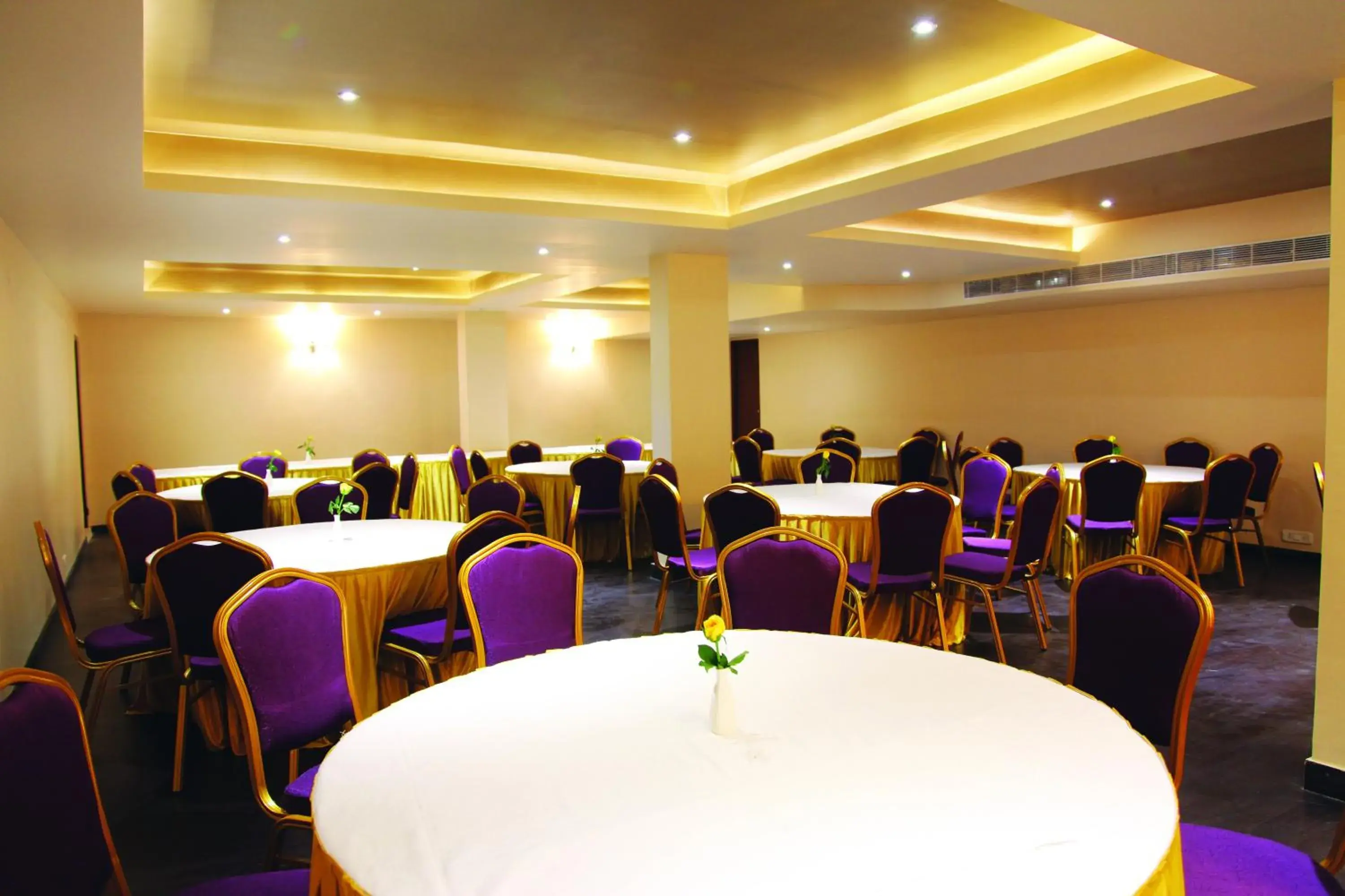 Banquet/Function facilities in The Purple Leaf Hotels