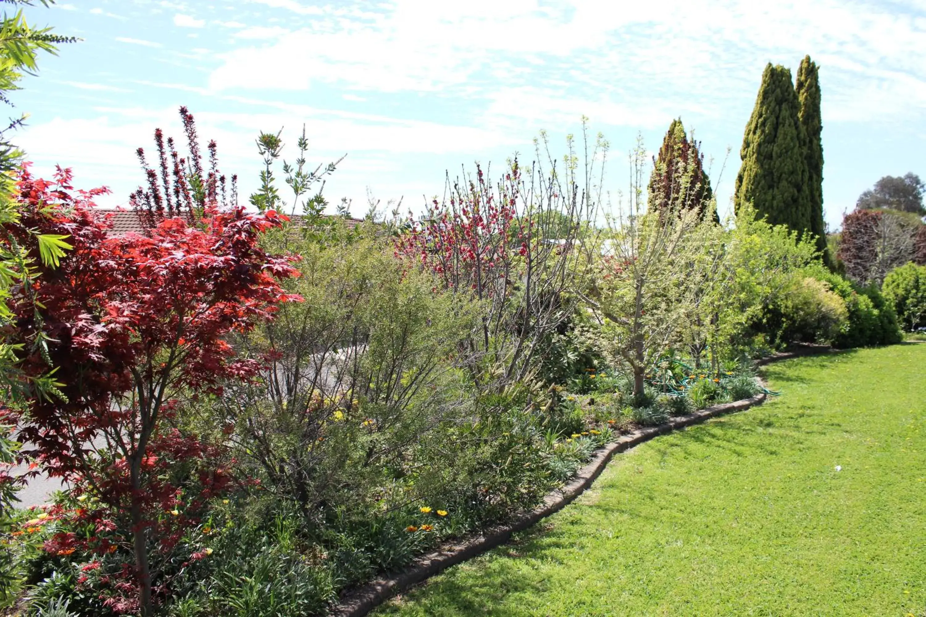 Garden in Top of the Town Motel