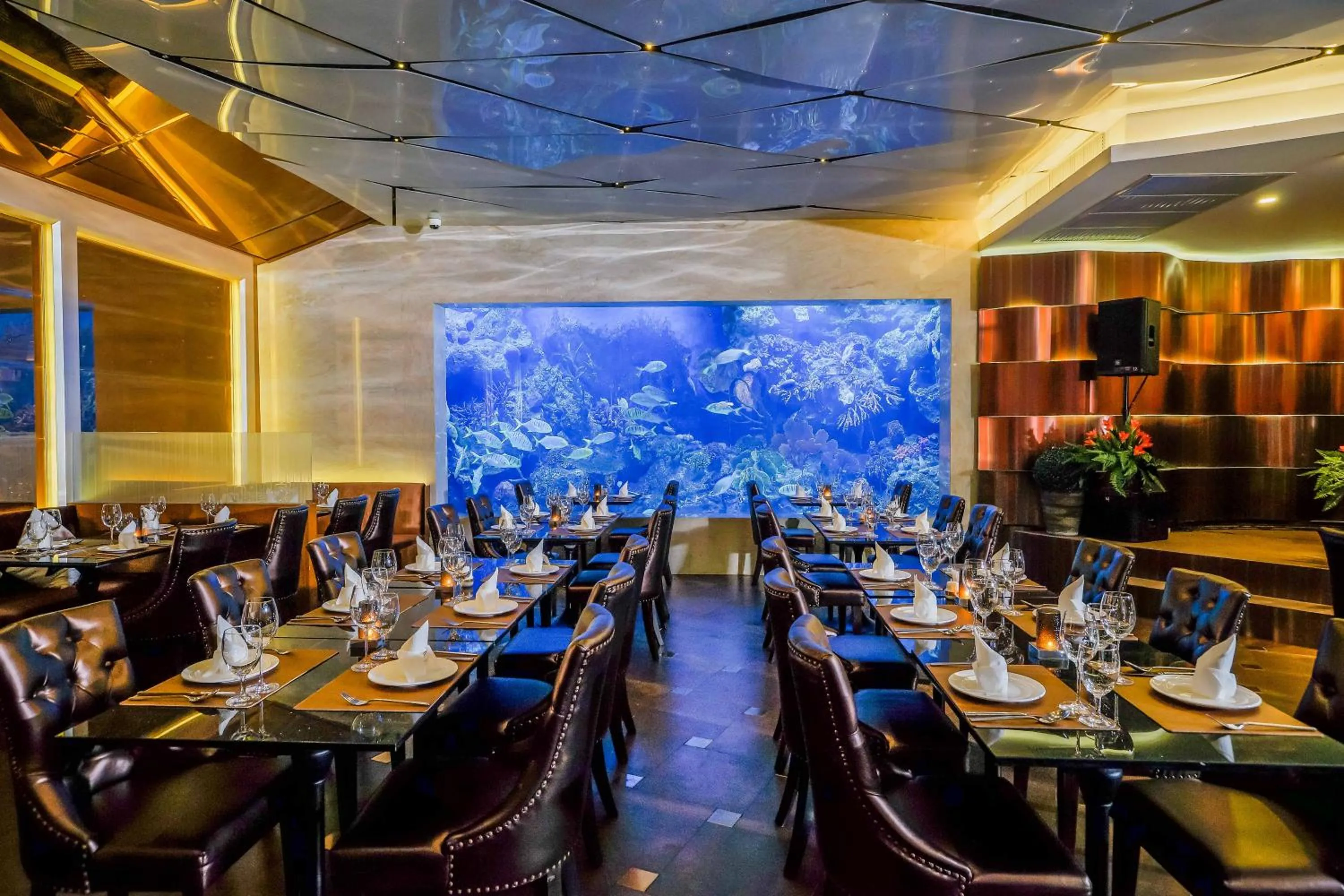 Restaurant/places to eat in Amaranta Hotel