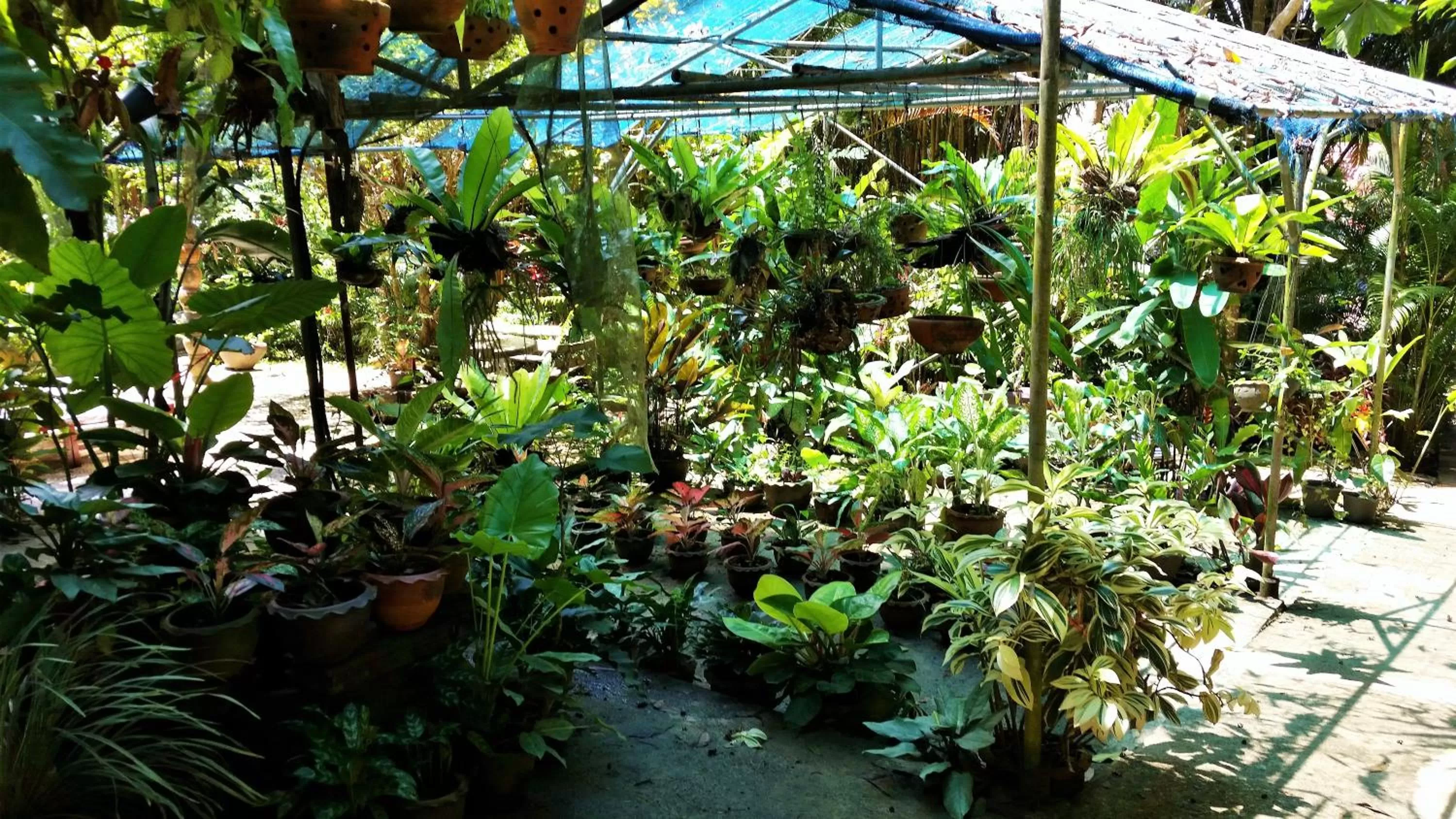 Other in Khao Sok Las Orquideas Resort