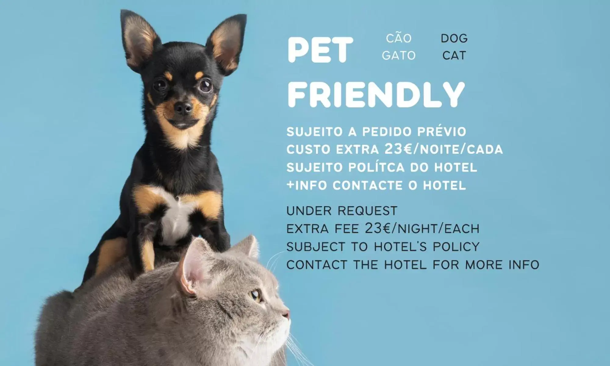 Animals, Pets in Hotel Villa Batalha