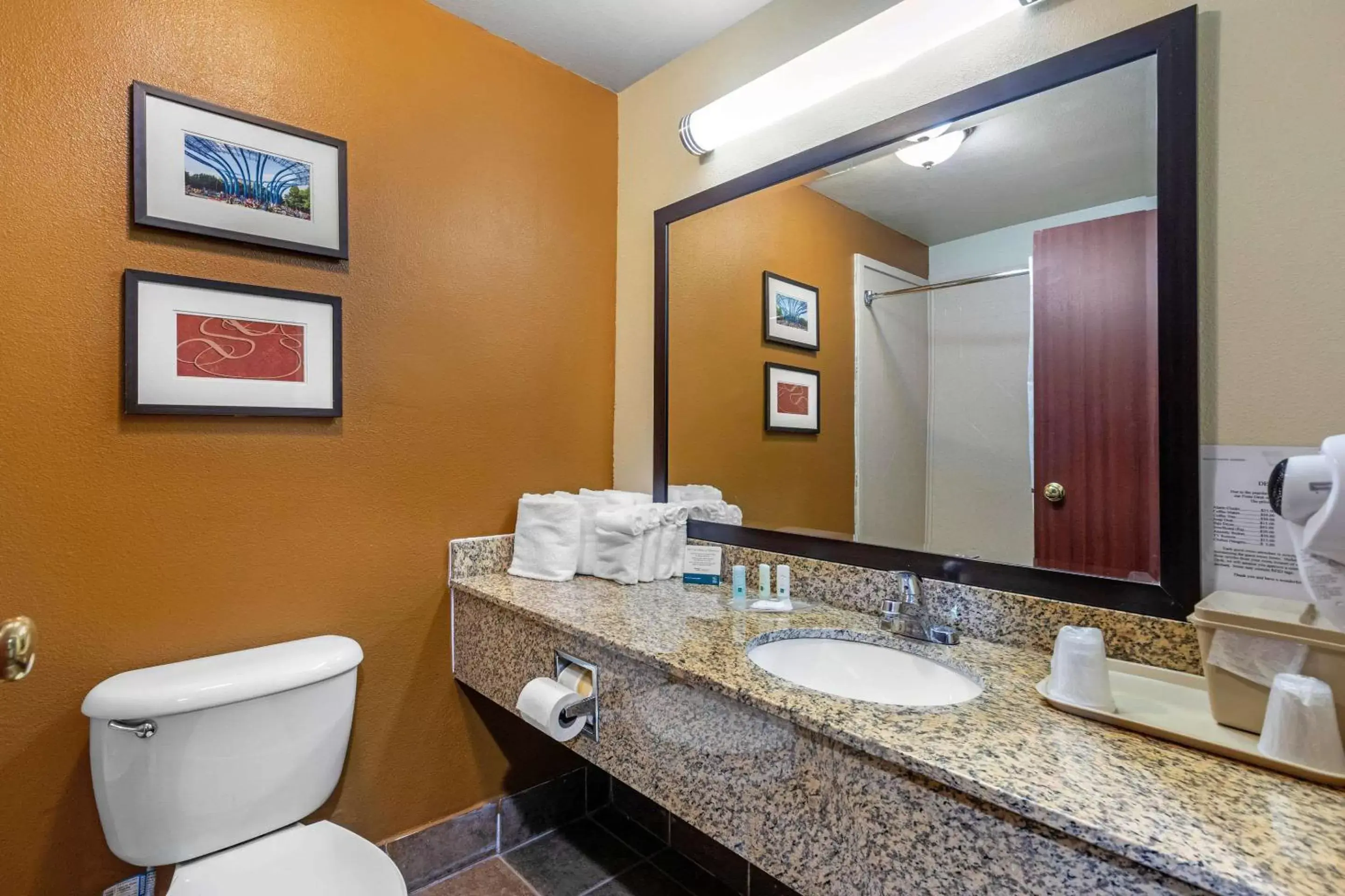 Bathroom in Quality Suites Addison-Dallas