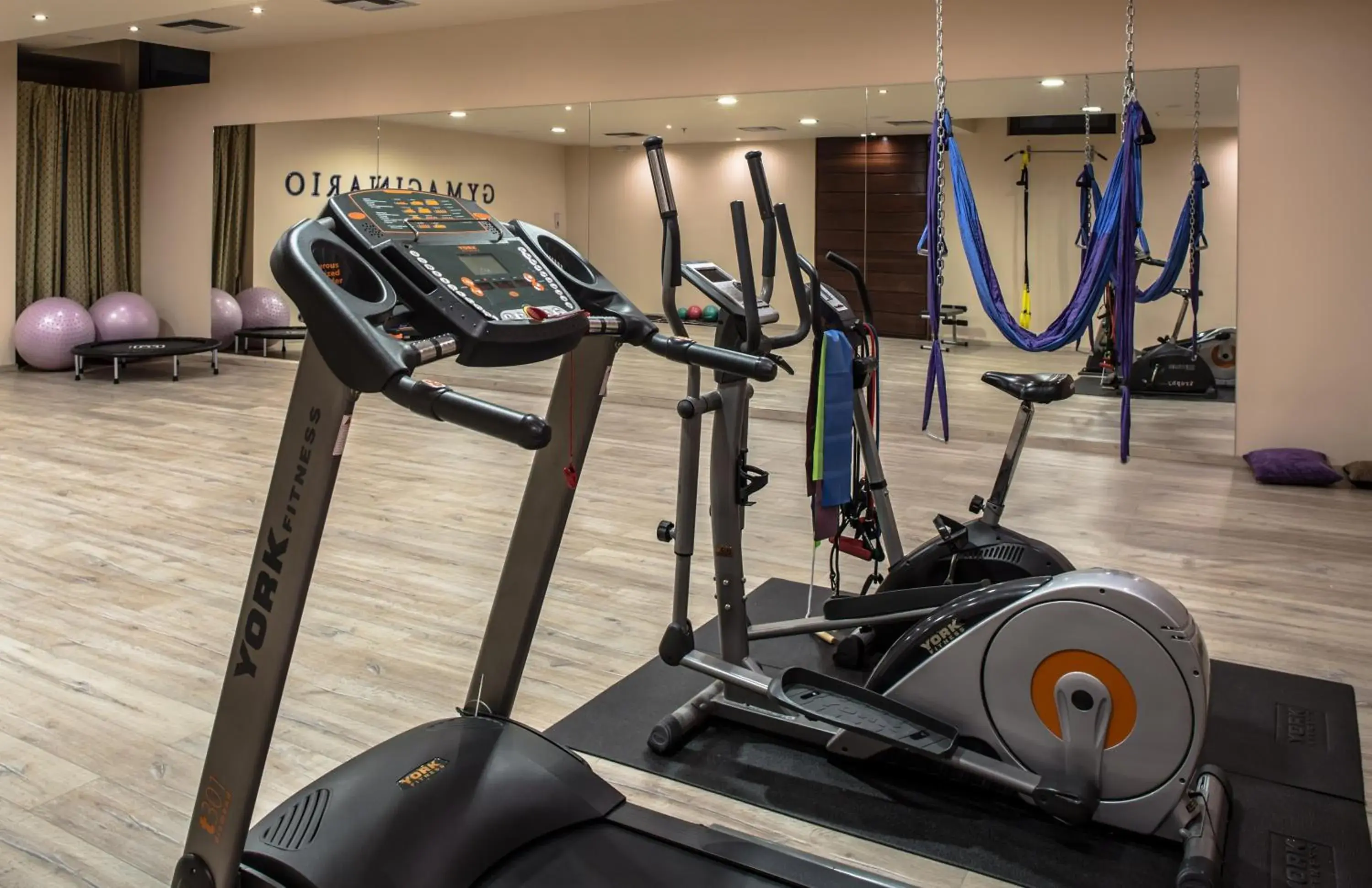 Fitness centre/facilities, Fitness Center/Facilities in Dekelia Hotel