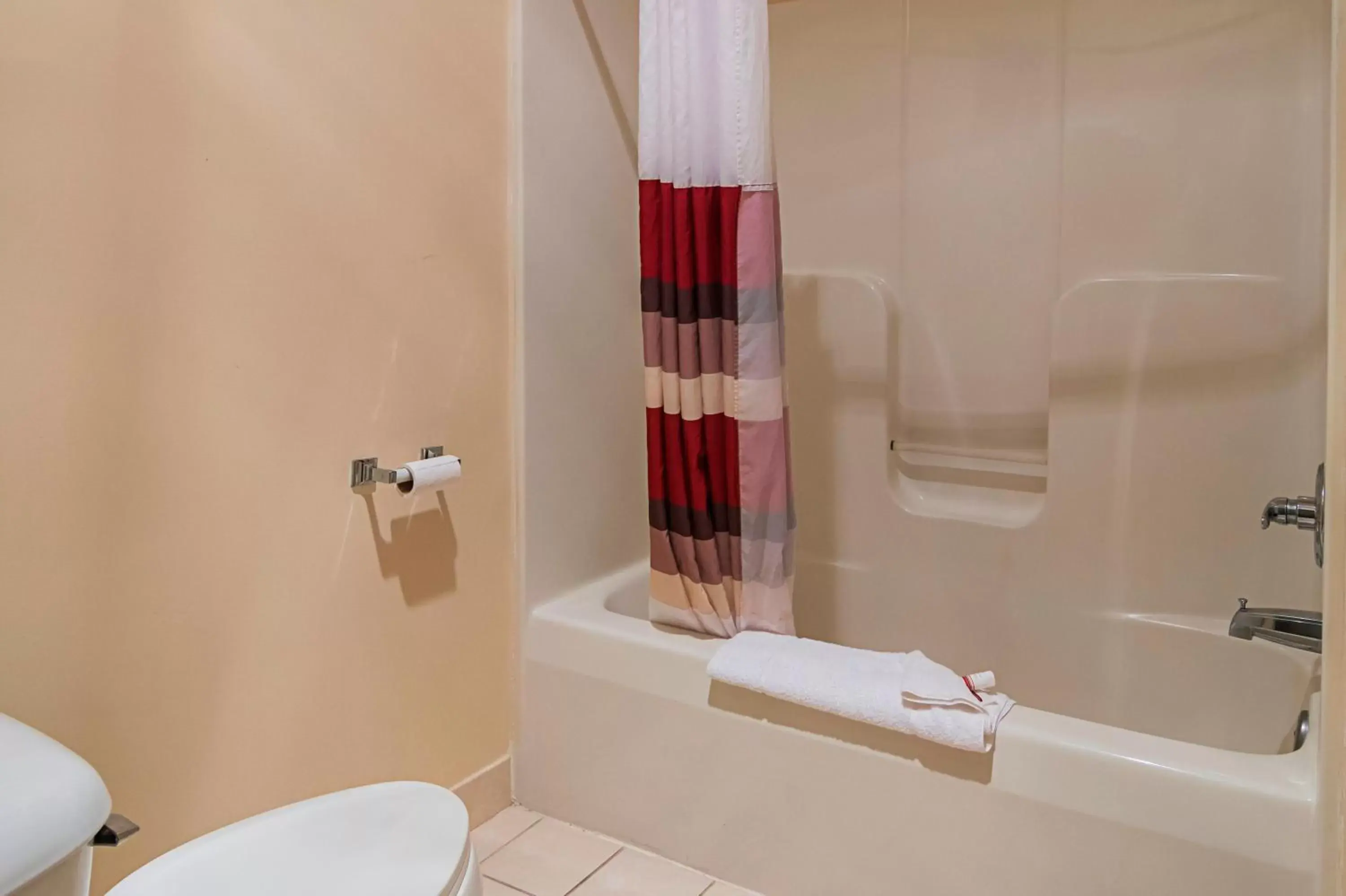 Bathroom in Red Roof Inn & Suites Lake Orion / Auburn Hills