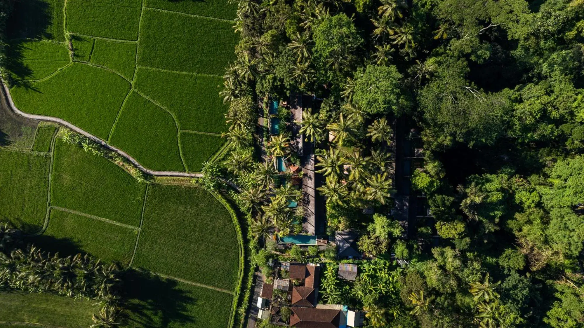 View (from property/room), Bird's-eye View in Ubud Padi Villas