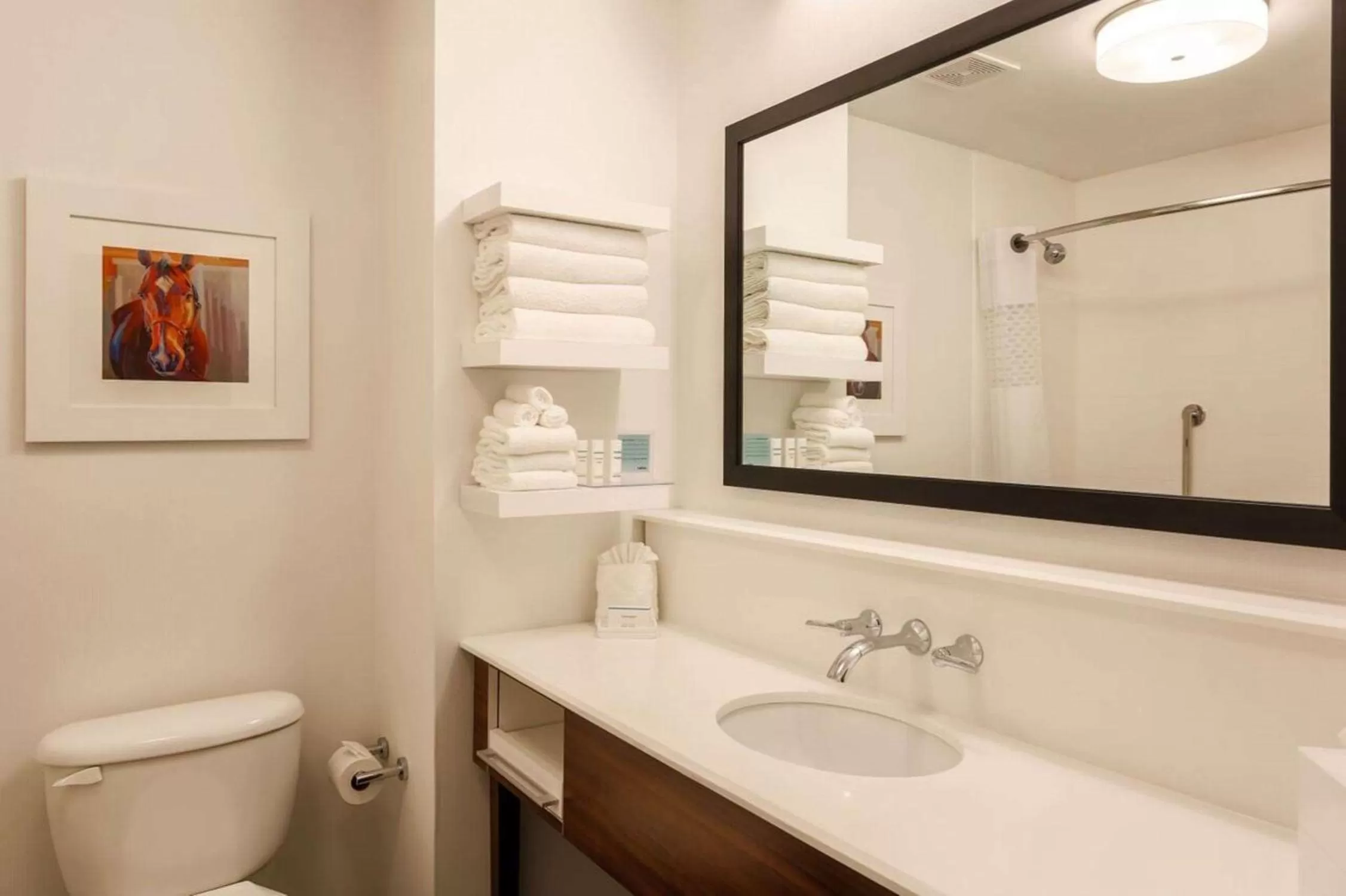 Bathroom in Hampton Inn Memphis-Southwind