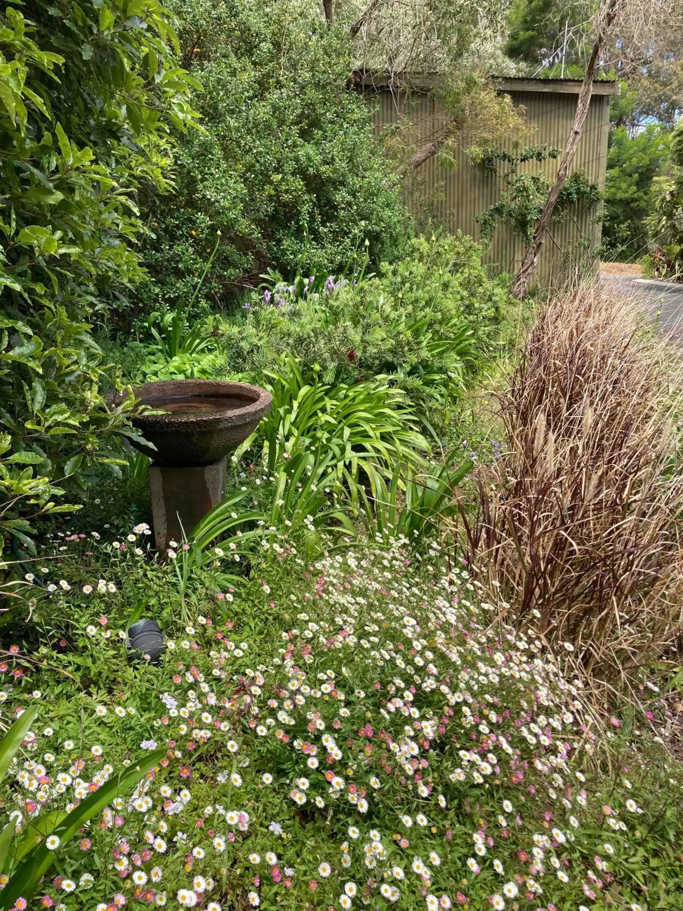 Garden in Edge Of The Forest Motel