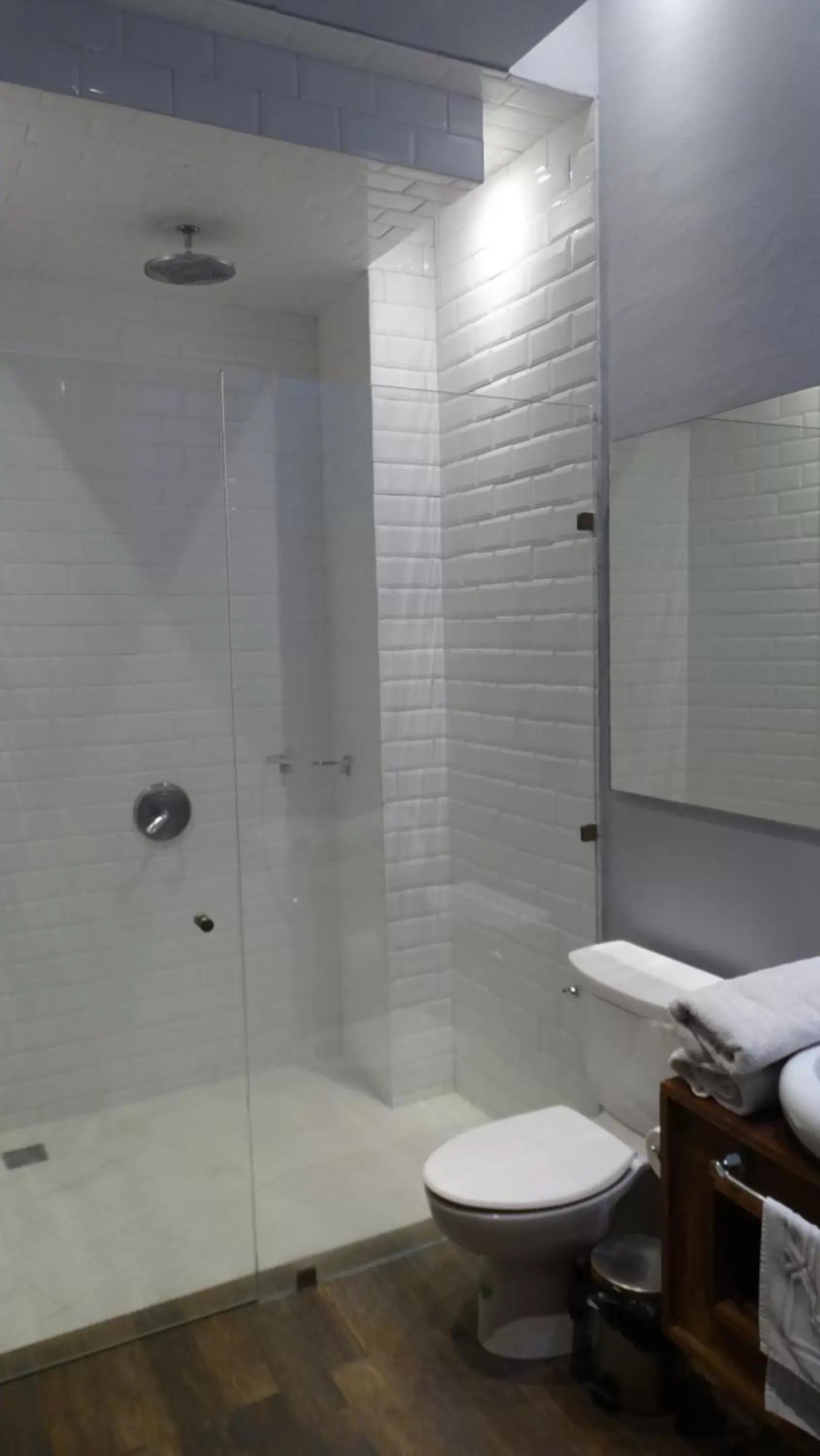 Shower, Bathroom in Hotel Plaza de Armas