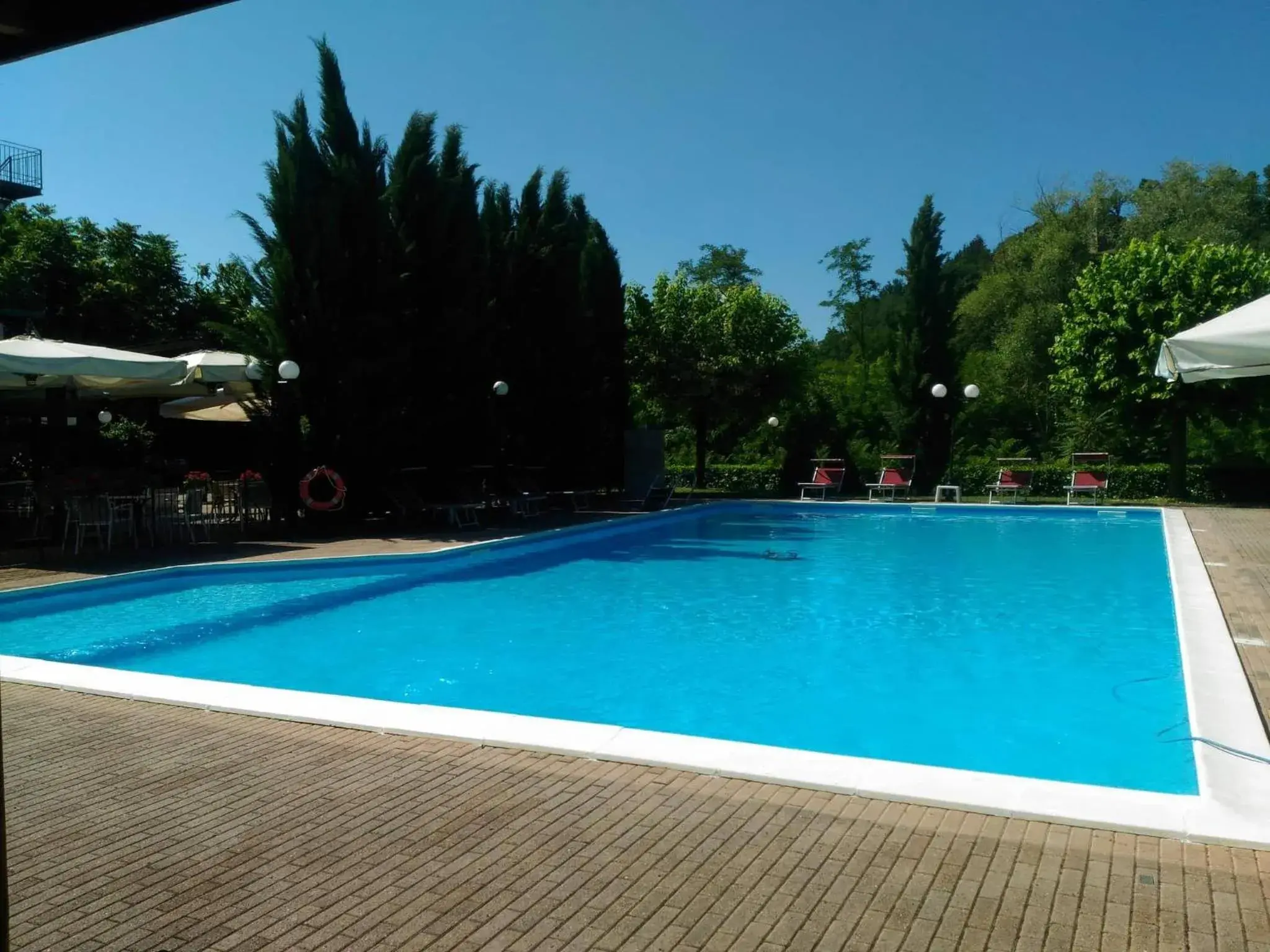 Garden view, Swimming Pool in Parc Hotel