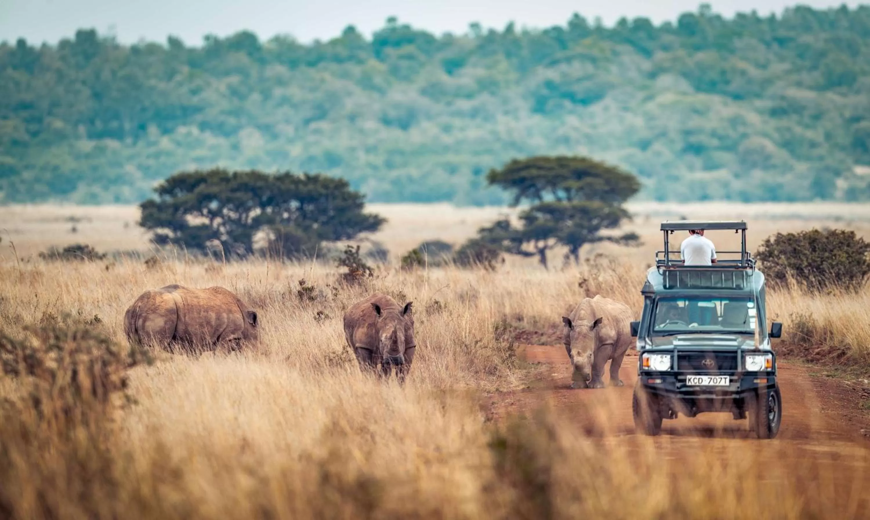Off site in Radisson Blu Hotel, Nairobi Upper Hill