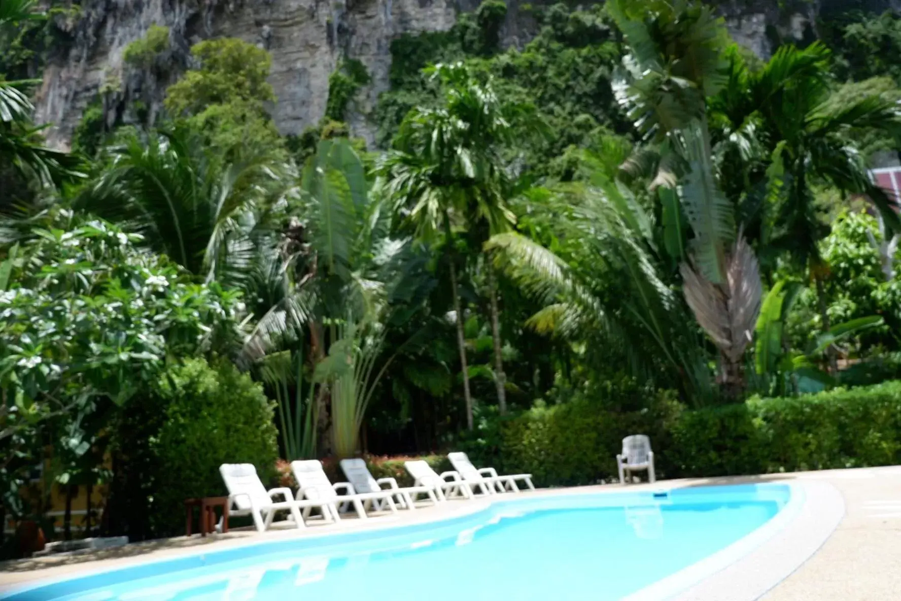 Pool view, Swimming Pool in Vipa Tropical Resort