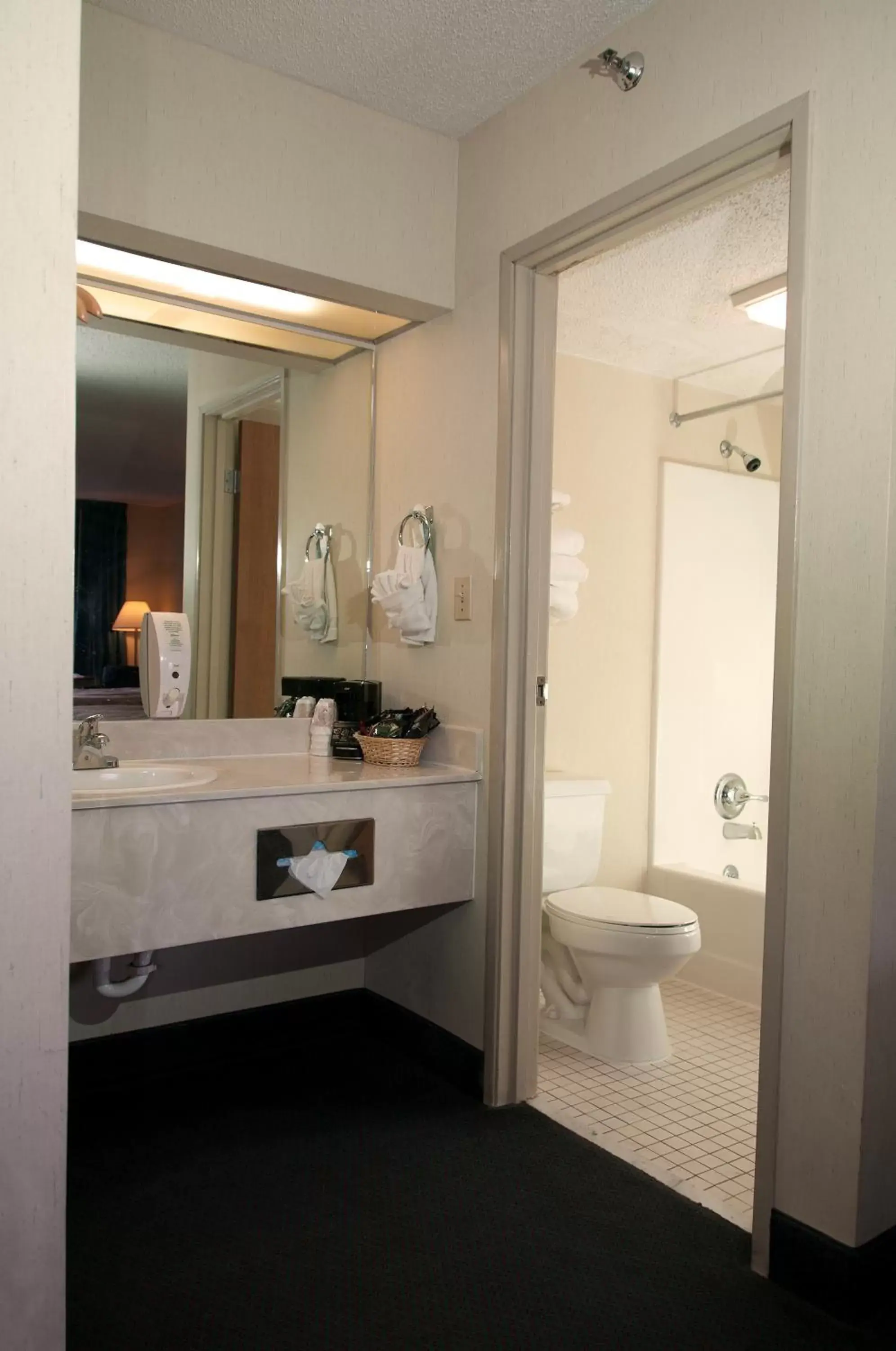 Toilet, Bathroom in Docker's Inn