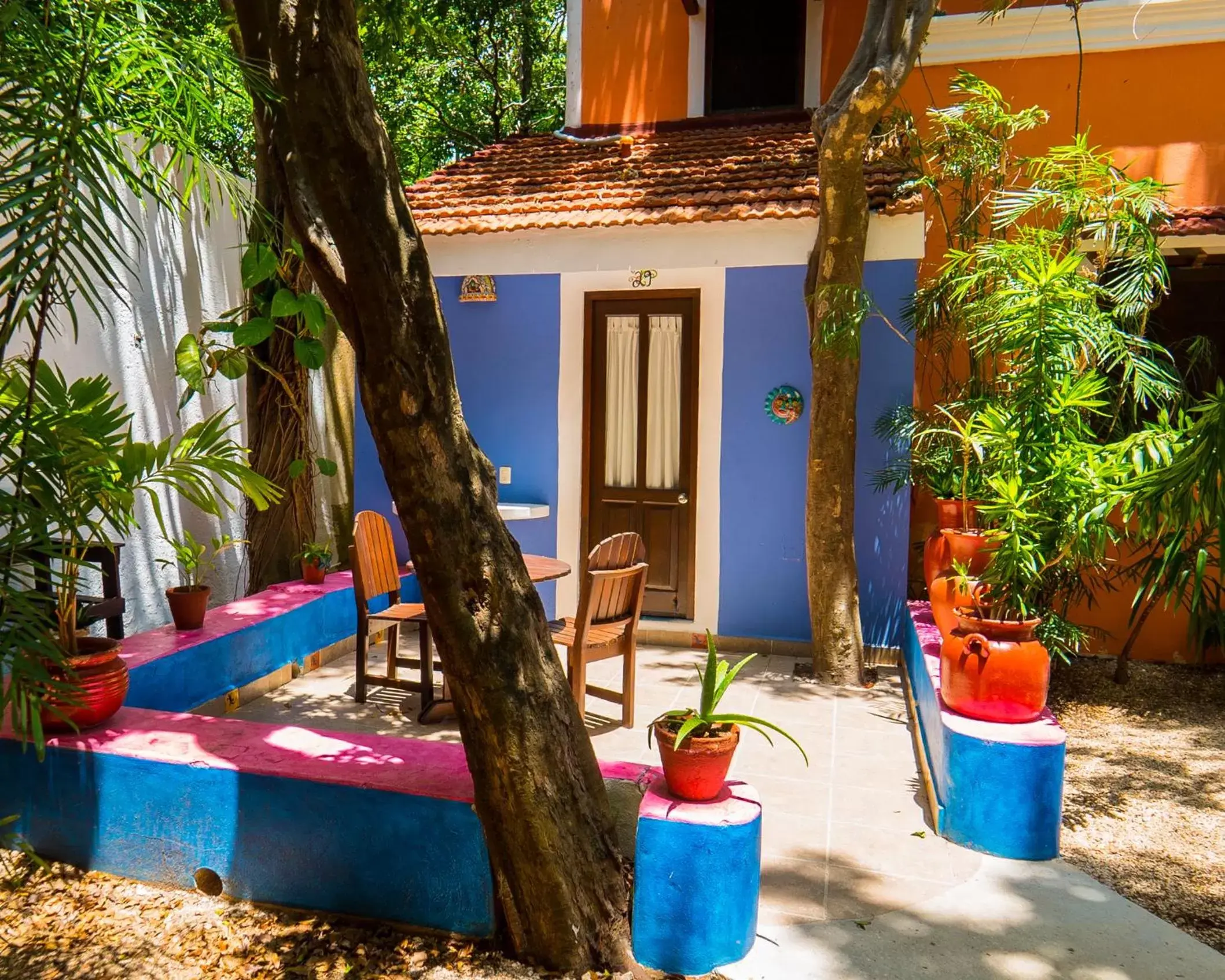 Garden in Hotel Casa de las Flores