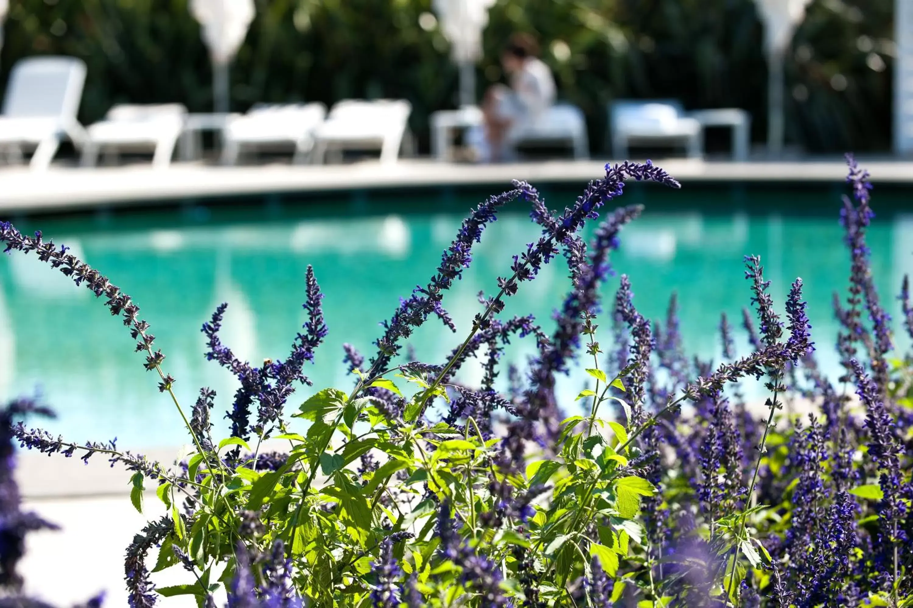 Swimming Pool in Donna Carmela Resort & Lodges