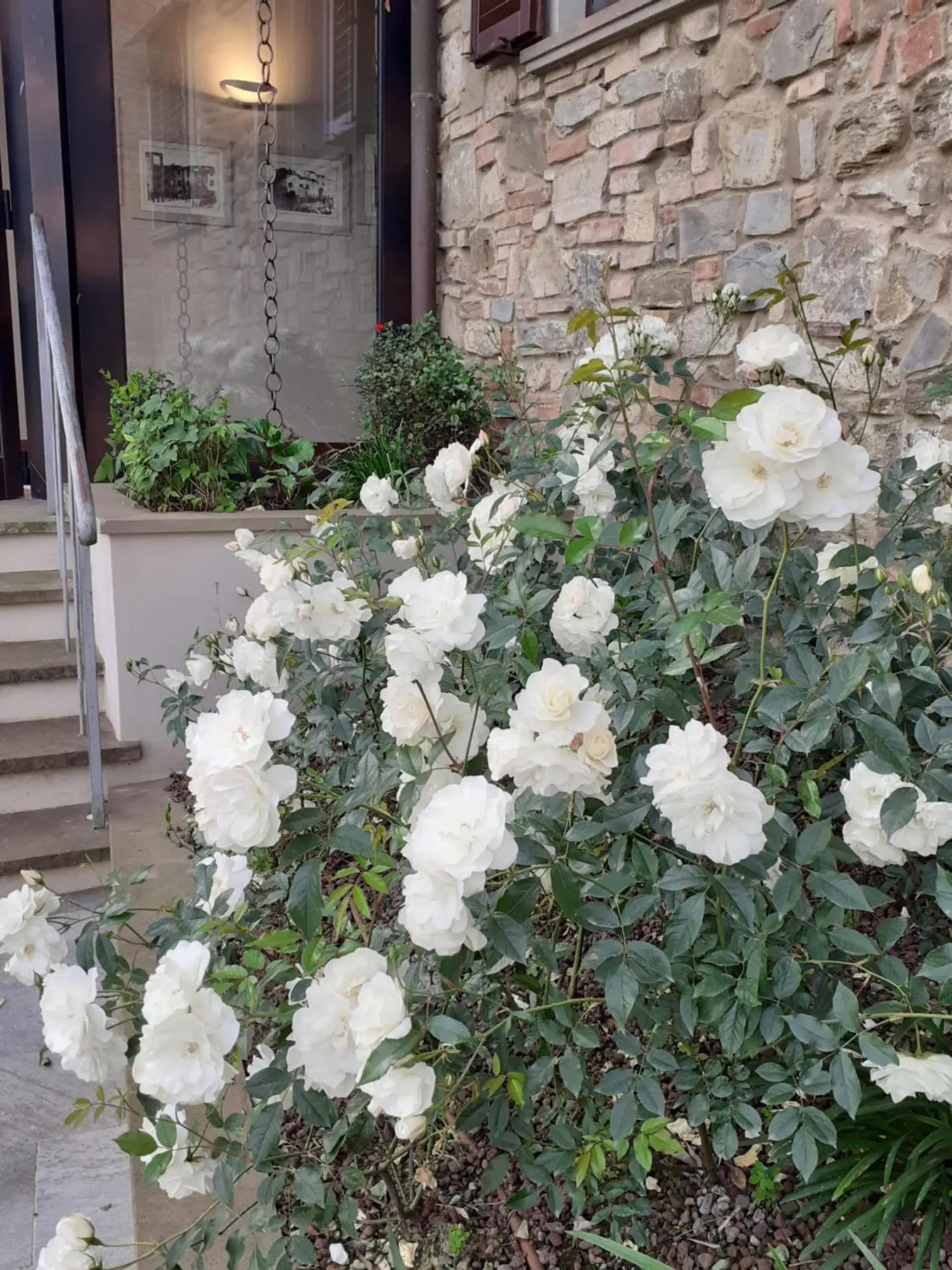 Garden in Hotel Le Macine