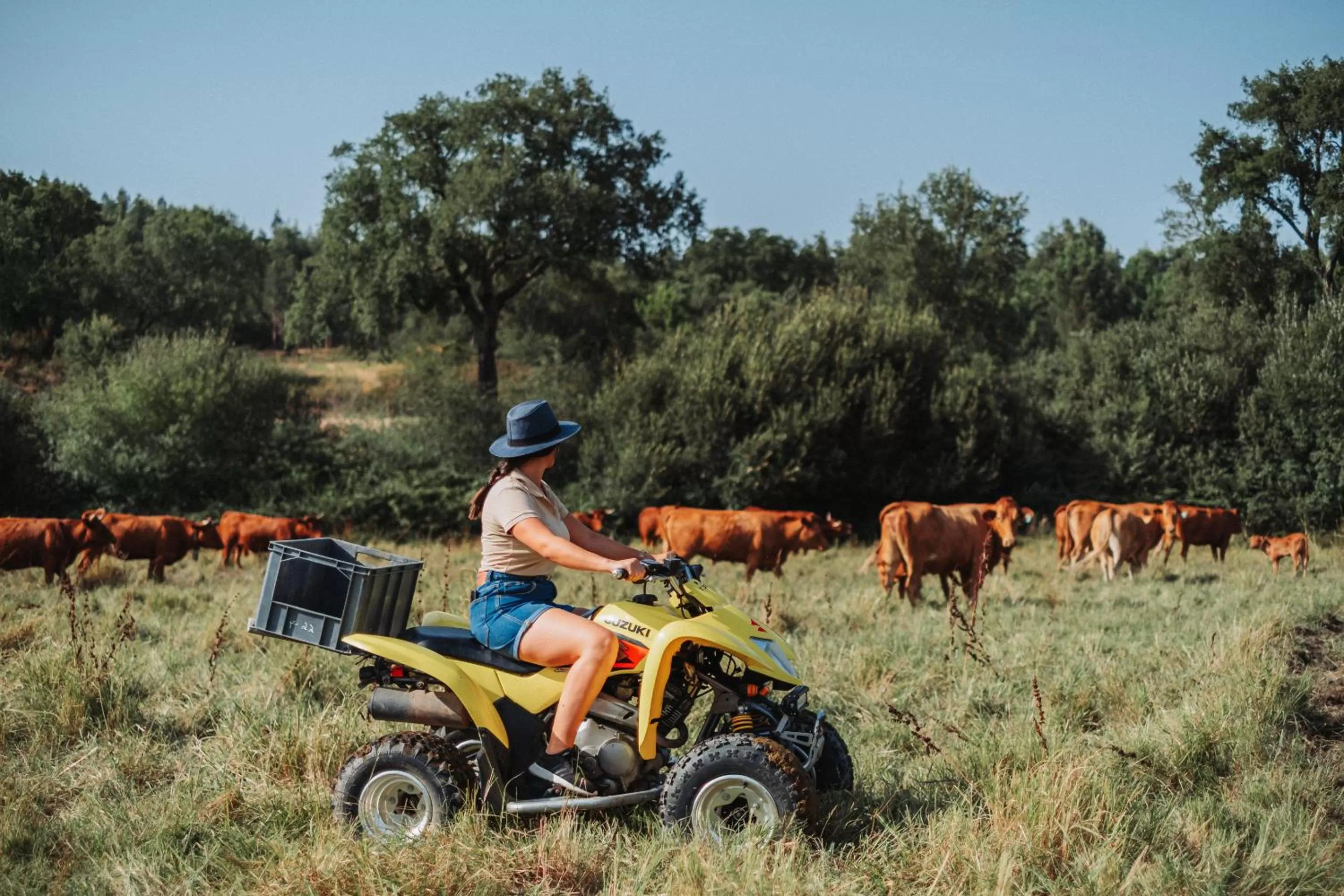 Activities in Herdade dos Cordeiros