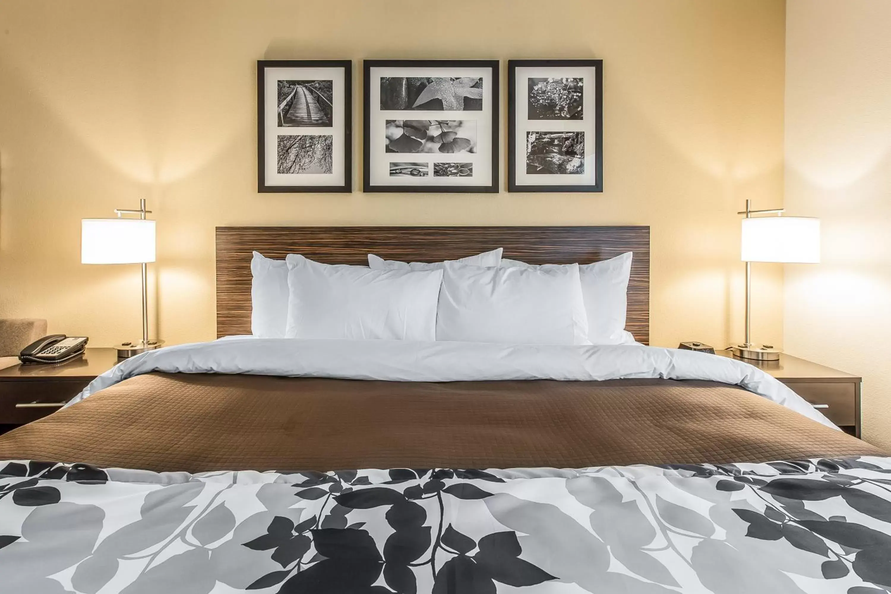 Bed in Sleep Inn & Suites Jasper I-22