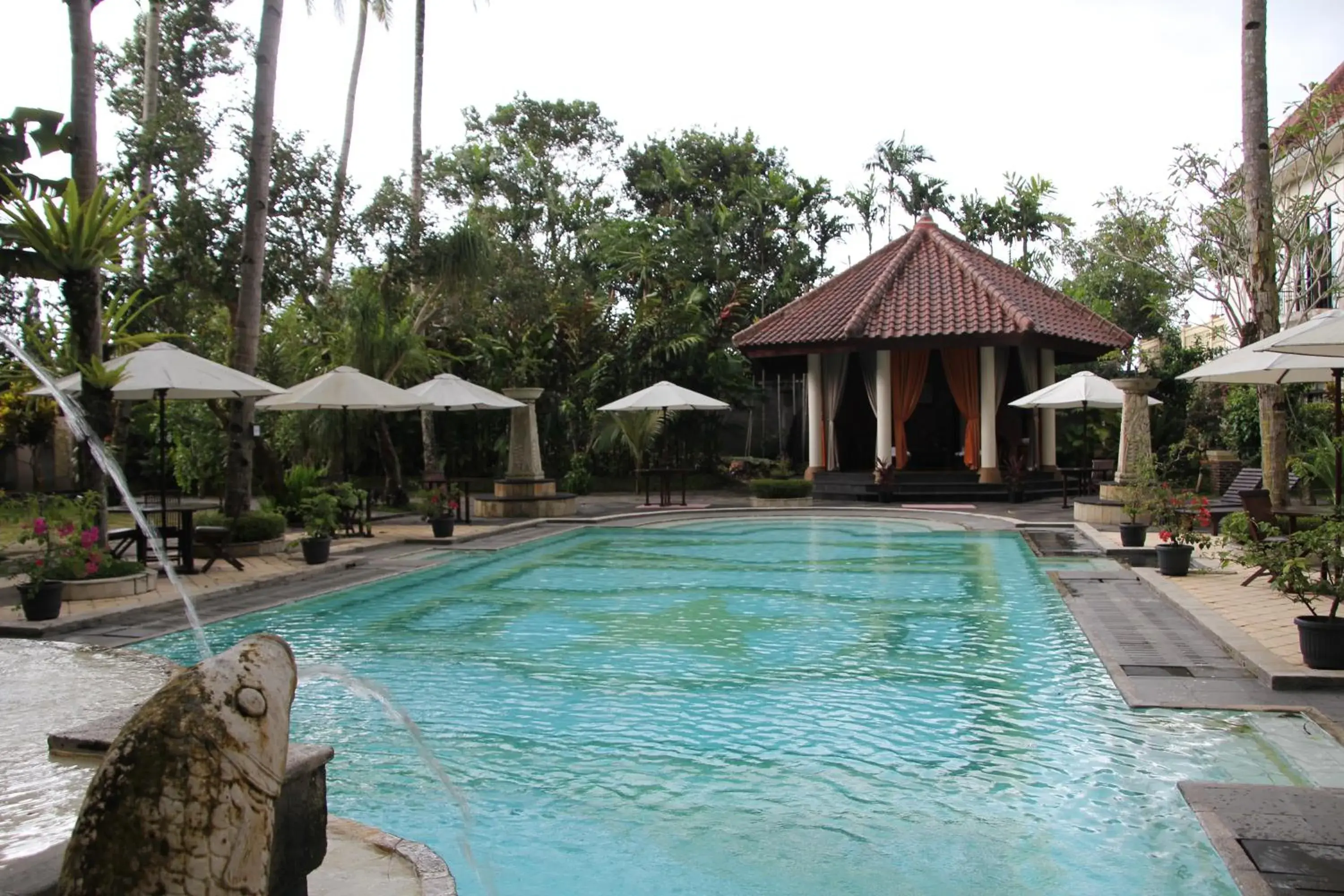 Pool view, Swimming Pool in Sarasvati Borobudur