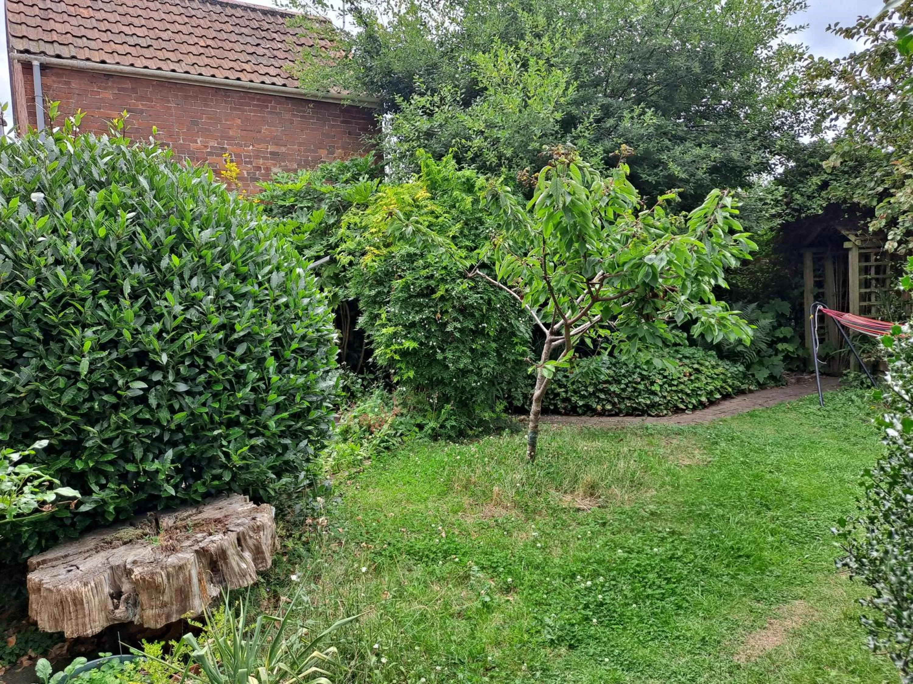 Garden in Pilgrims of the Goddess