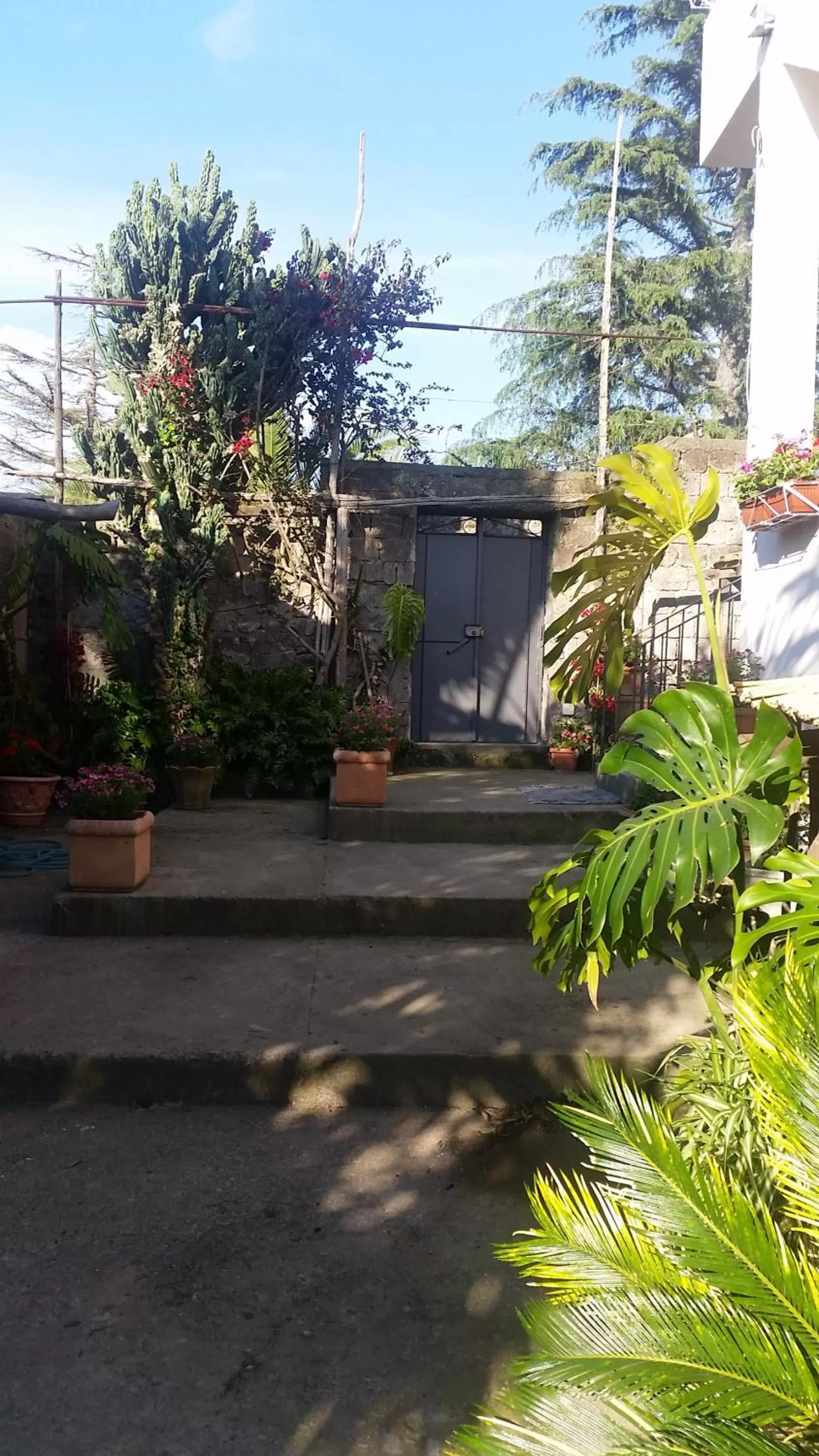 Garden in Casa Carolina B&B