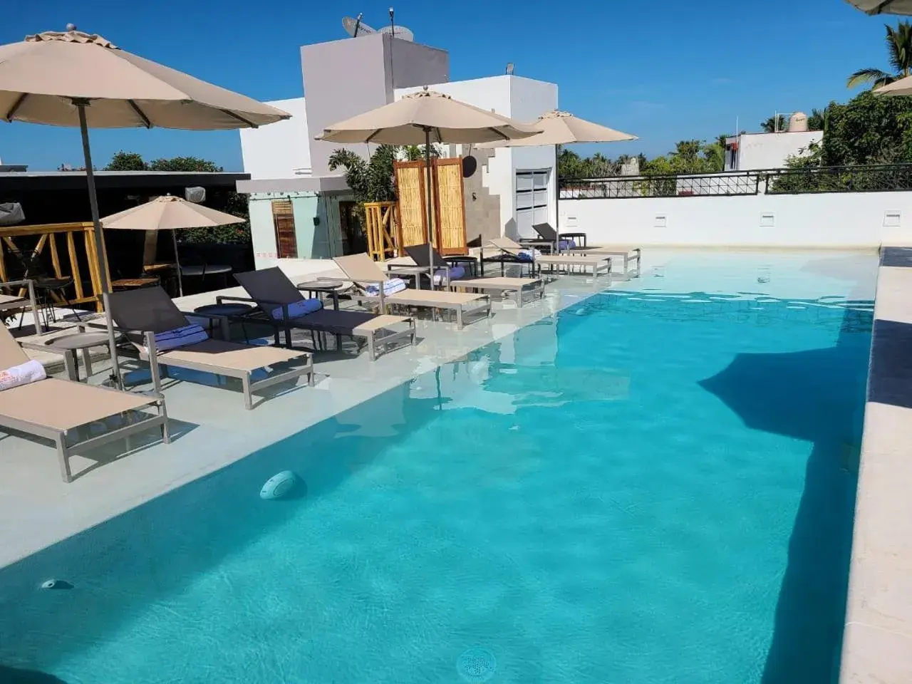 Pool view, Swimming Pool in Ximena Hotel Boutique