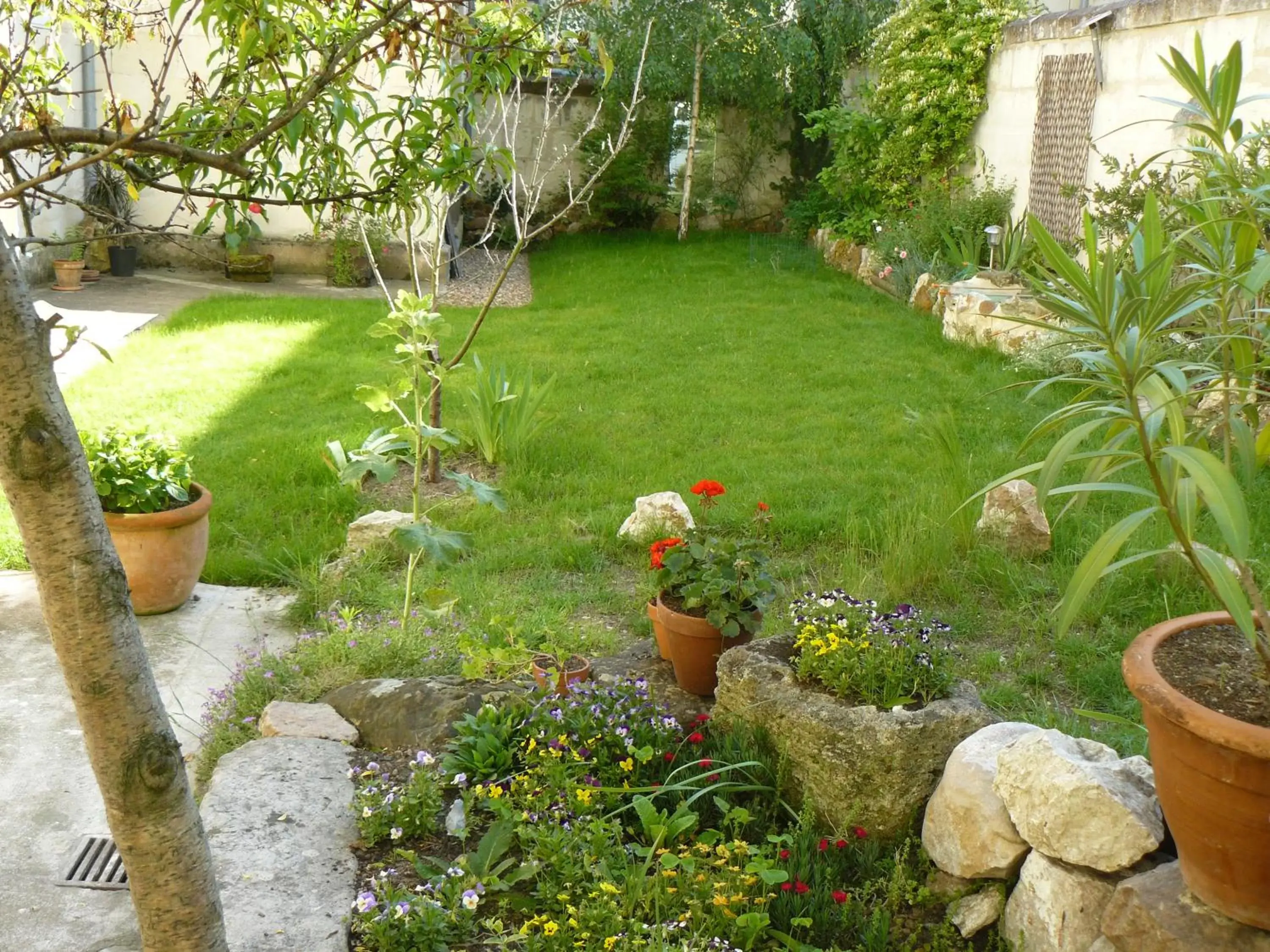 Garden in La Maison de Saumur