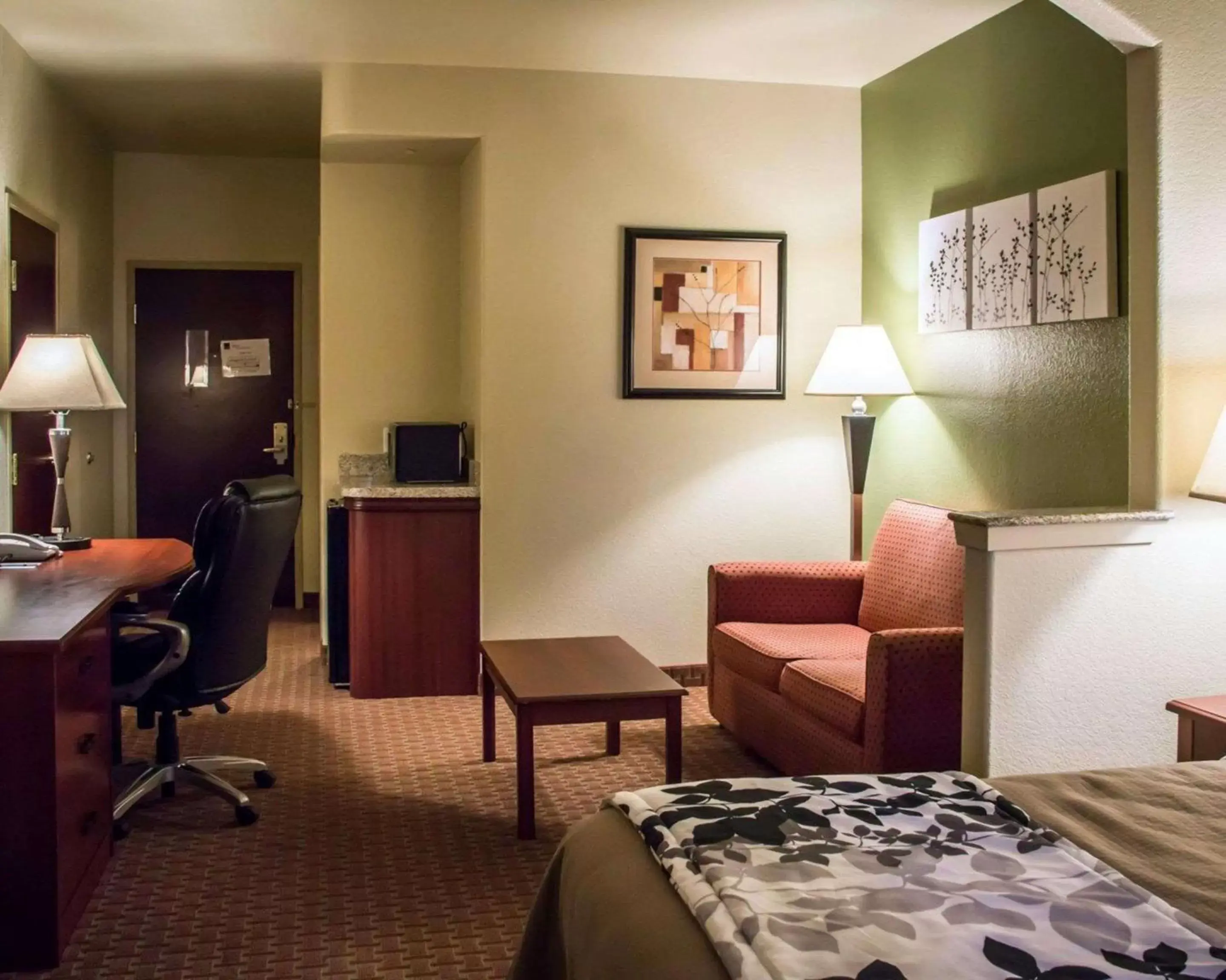 Photo of the whole room, TV/Entertainment Center in Sleep Inn and Suites at Six Flags