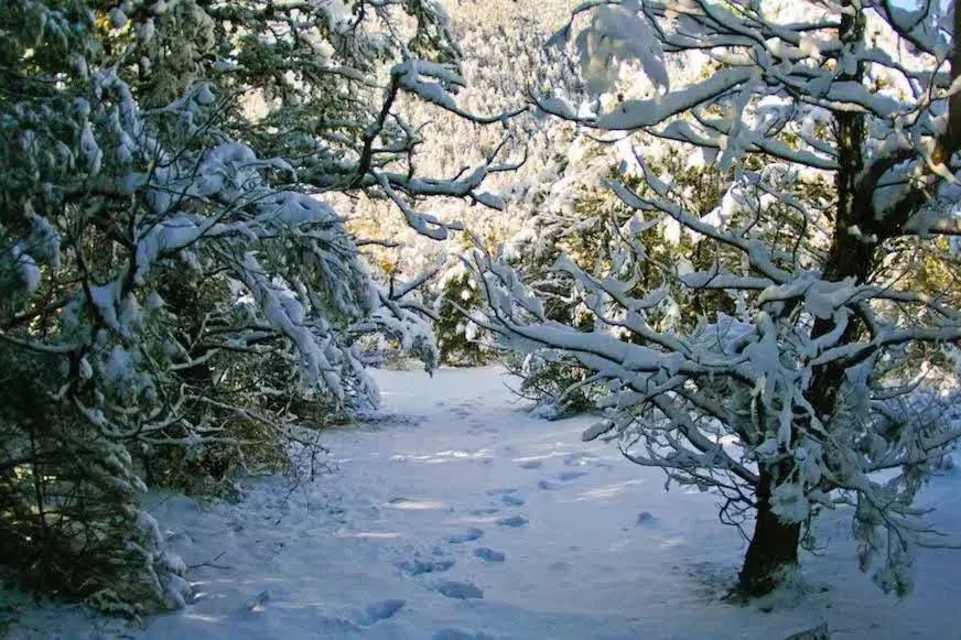 Day, Winter in Shady Brook Inn Village/Resort