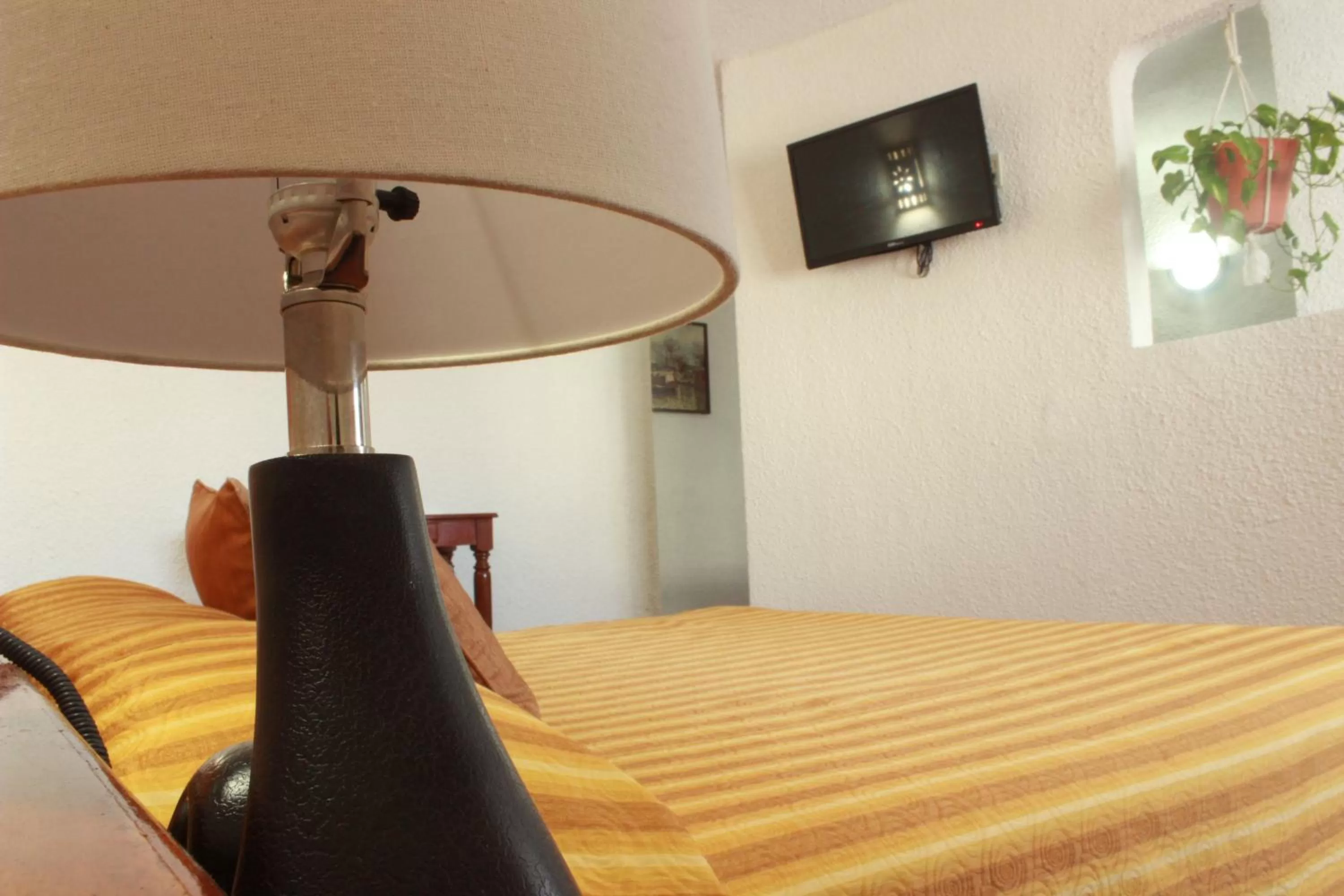 Day, Bed in Hotel Antillano