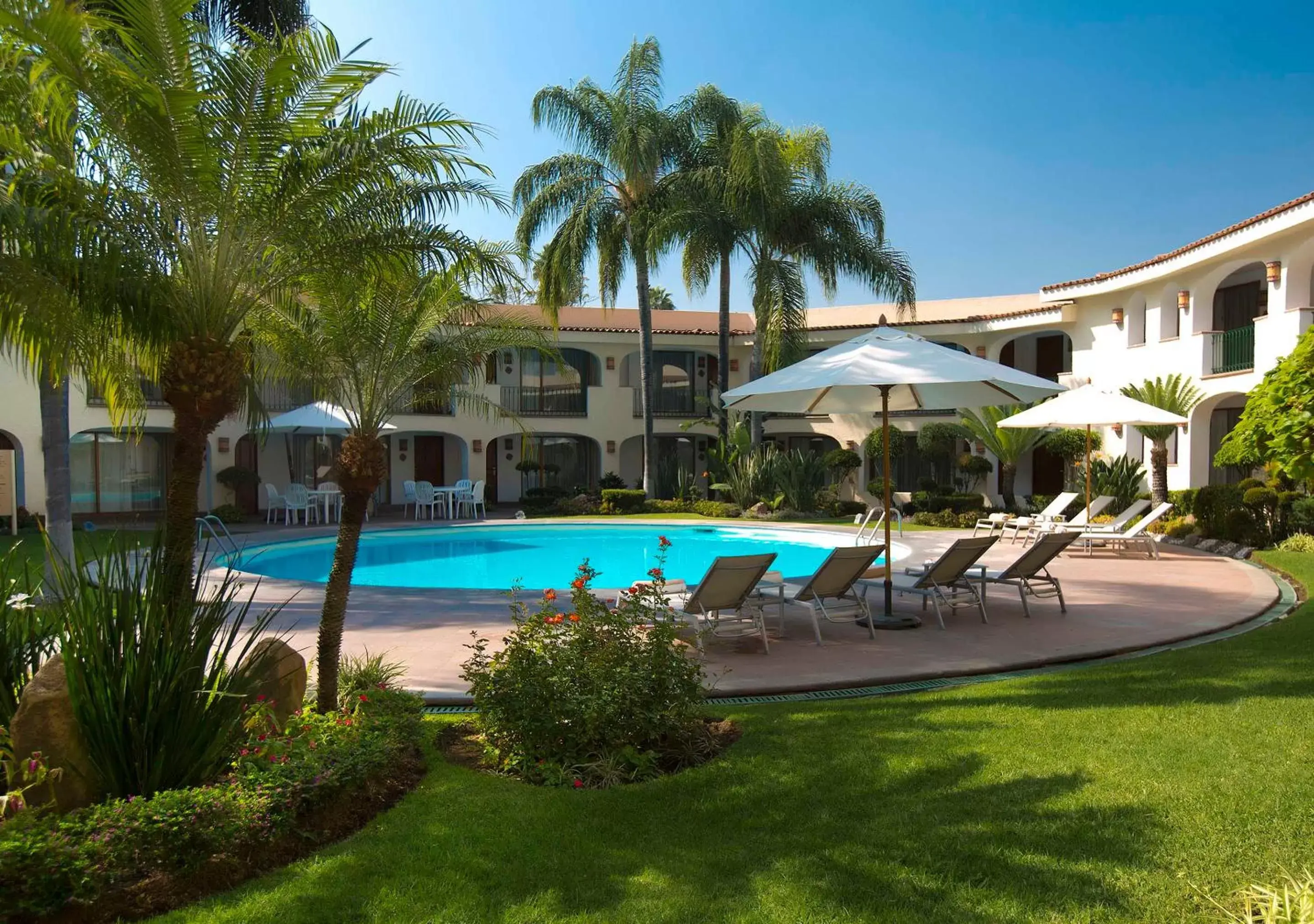 View (from property/room), Swimming Pool in Hotel Guadalajara Plaza Ejecutivo Lopez Mateos