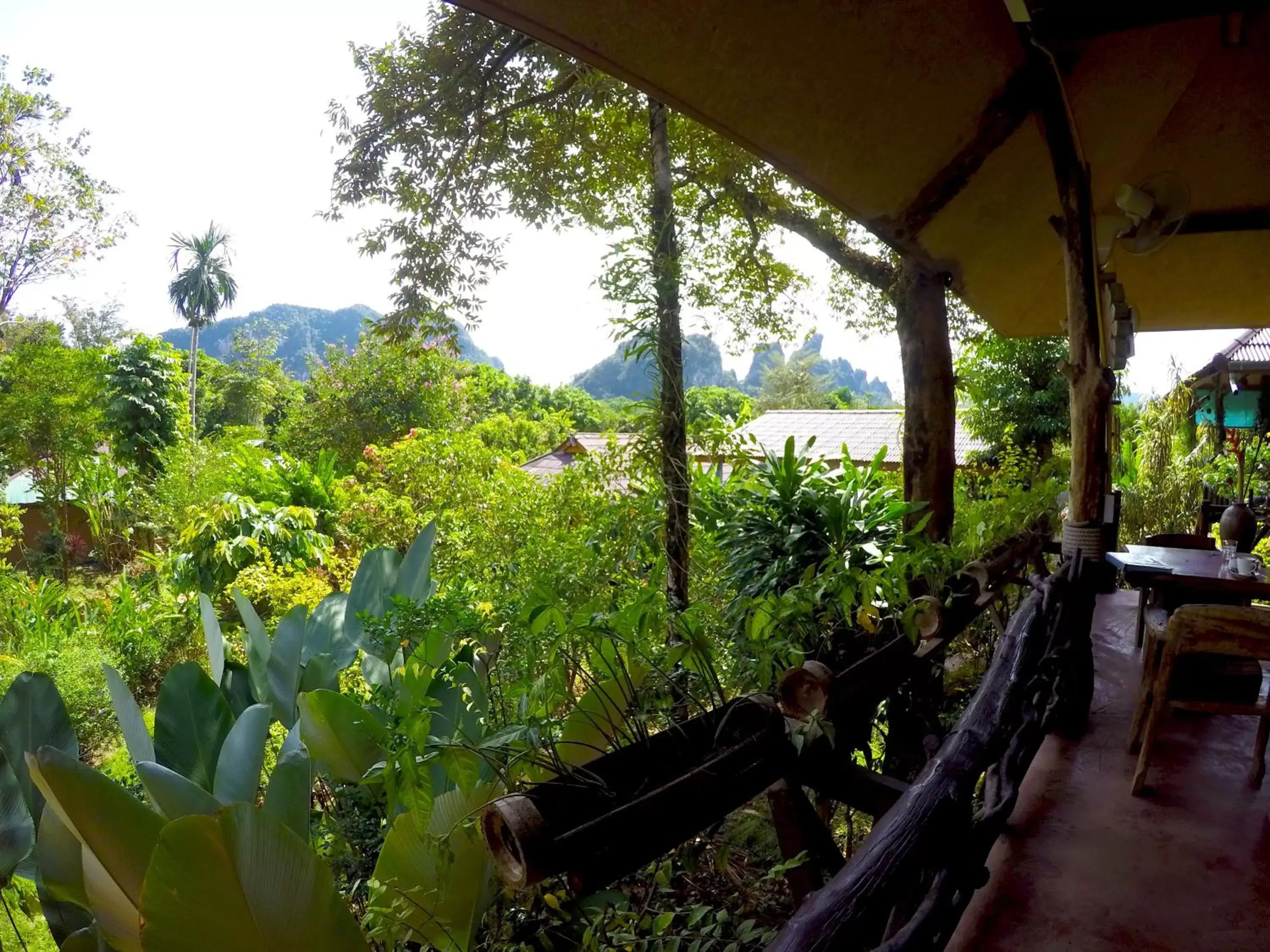 Property building in Khao Sok Morning Mist Resort