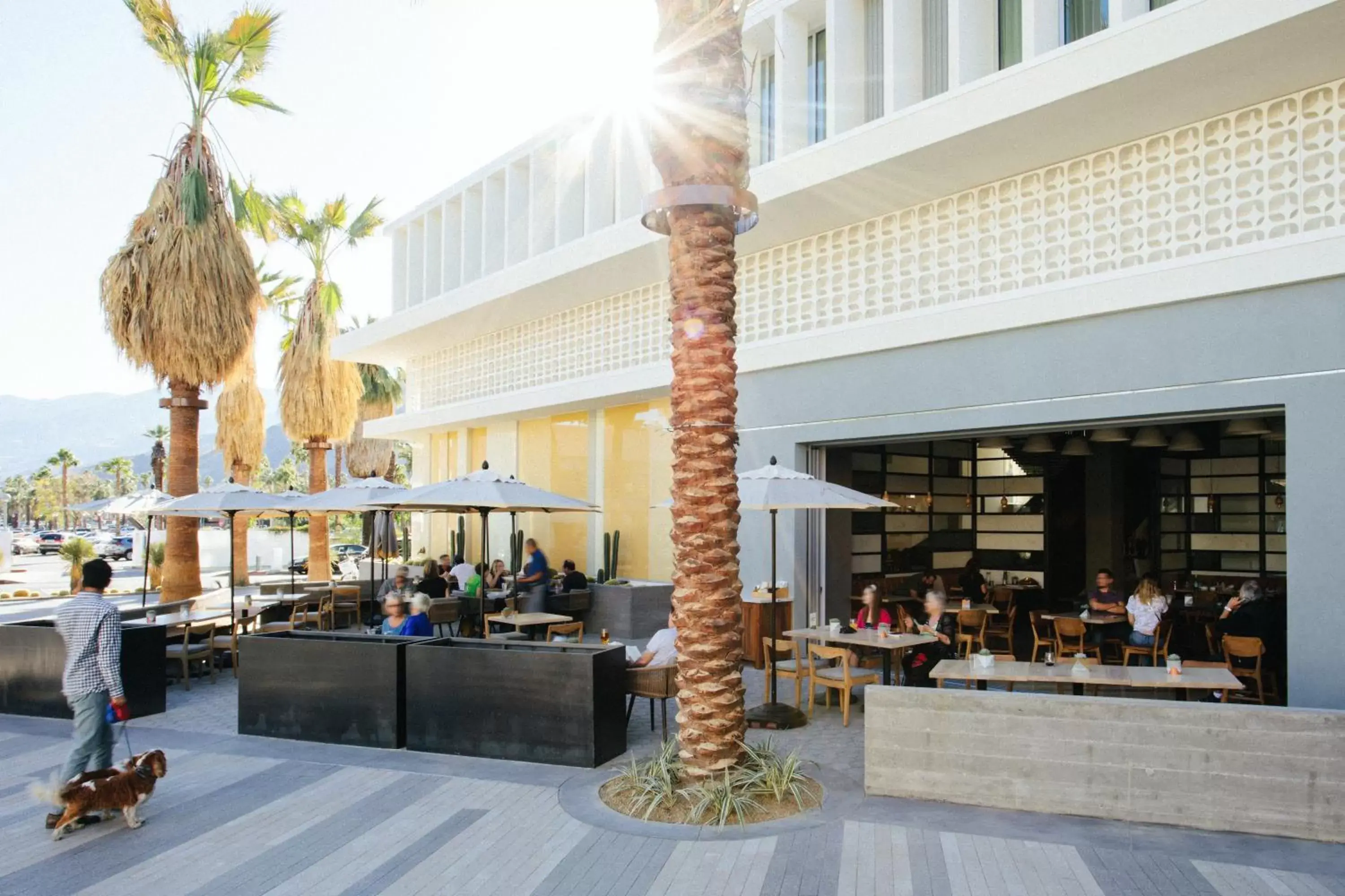 Restaurant/places to eat in Kimpton Rowan Palm Springs Hotel, an IHG Hotel