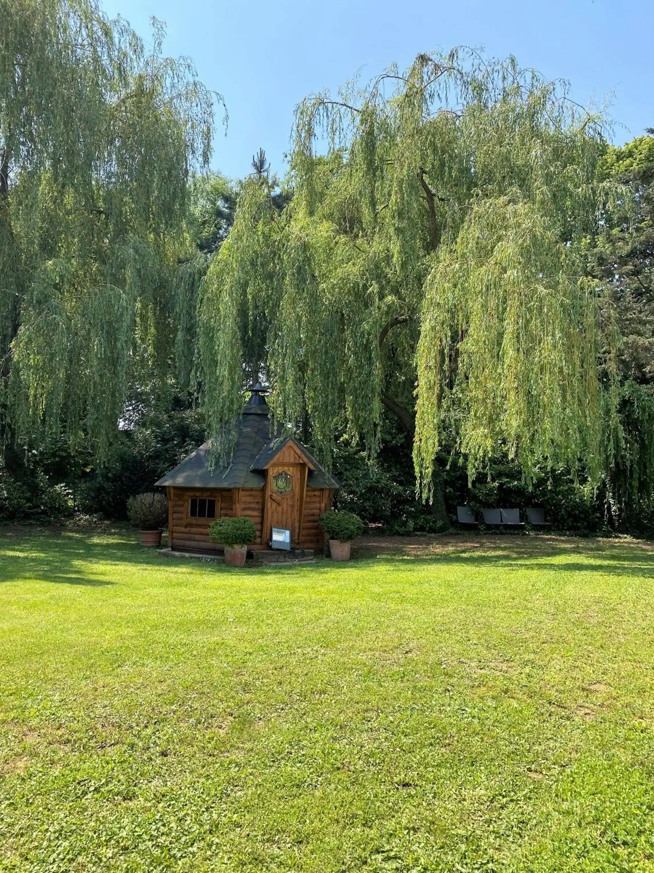 Natural landscape, Garden in Les Jardins D'Adalric