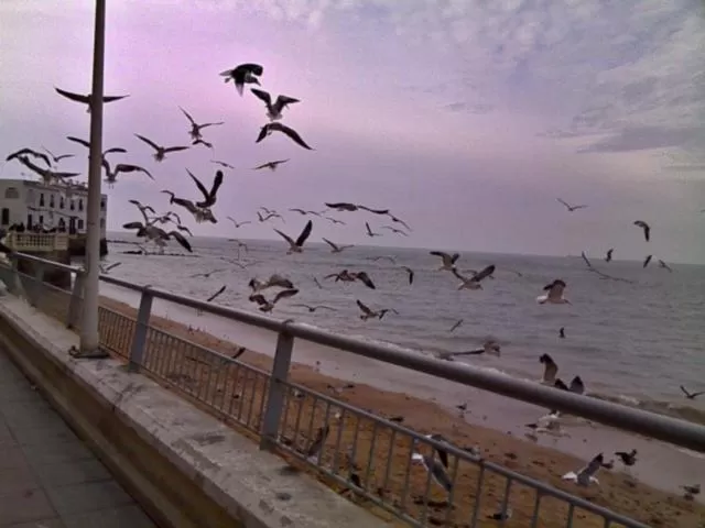 Natural landscape in Hotel La Española