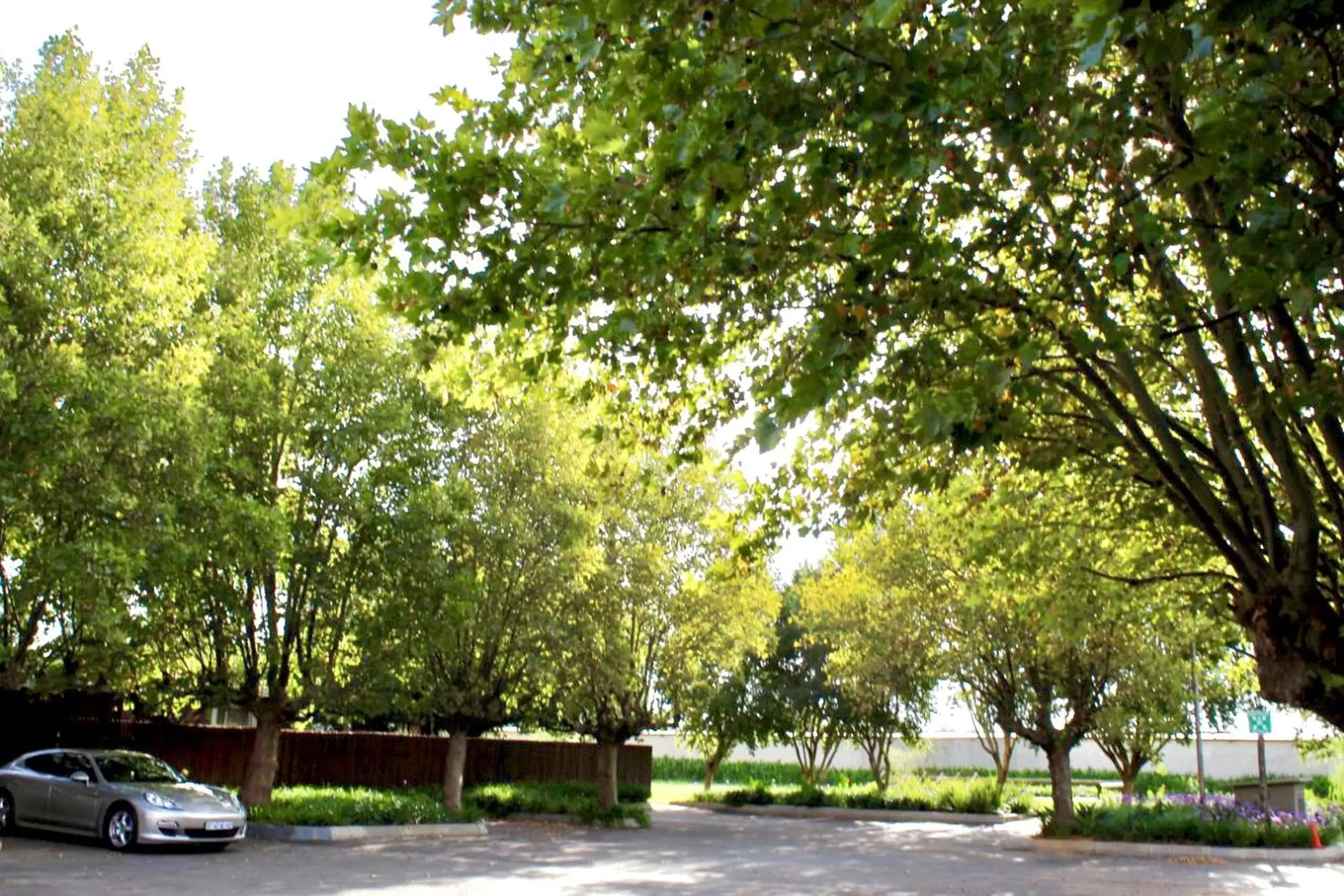 Garden in Lido Hotel