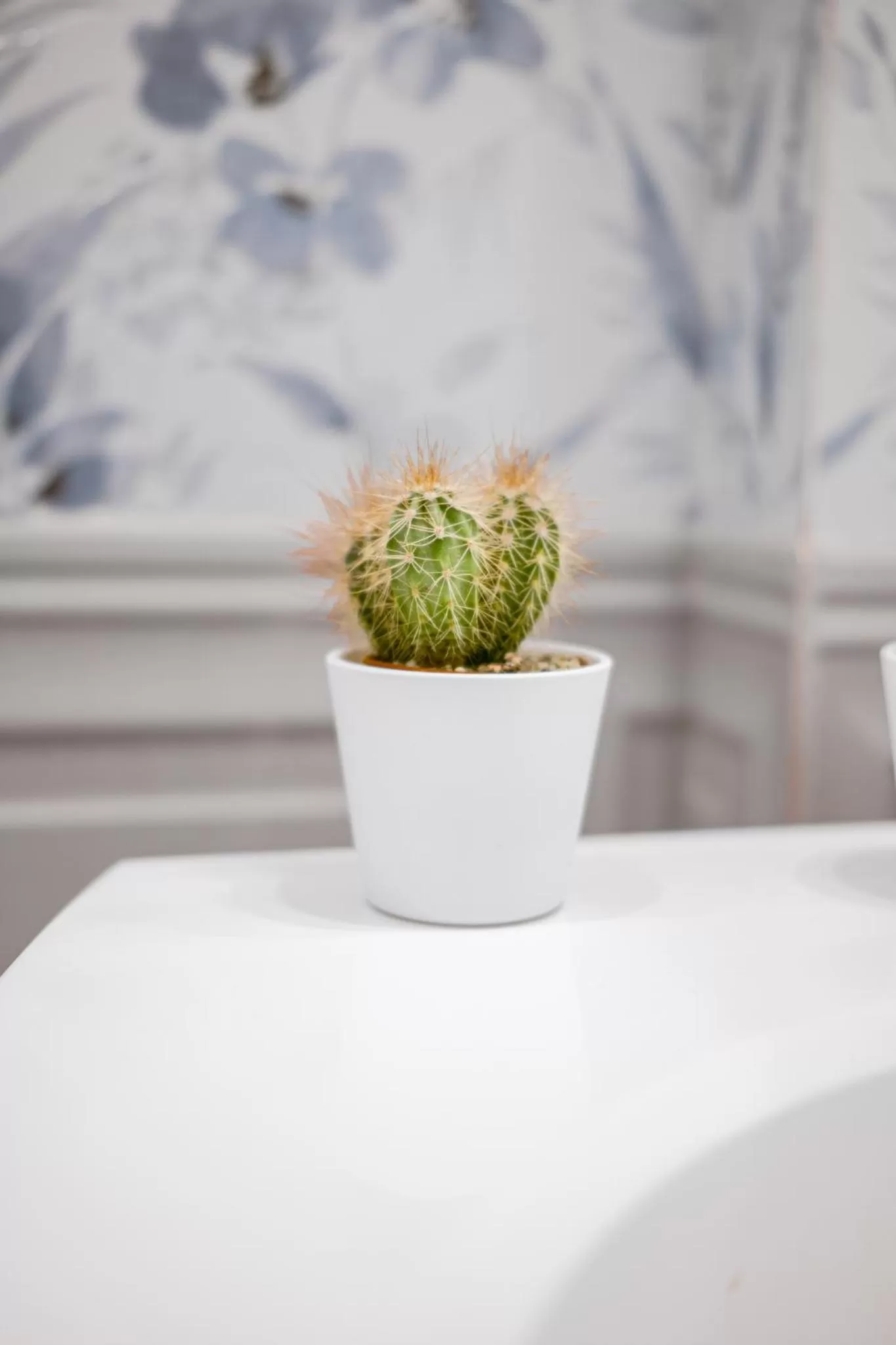 Decorative detail in Bosco Mattavona