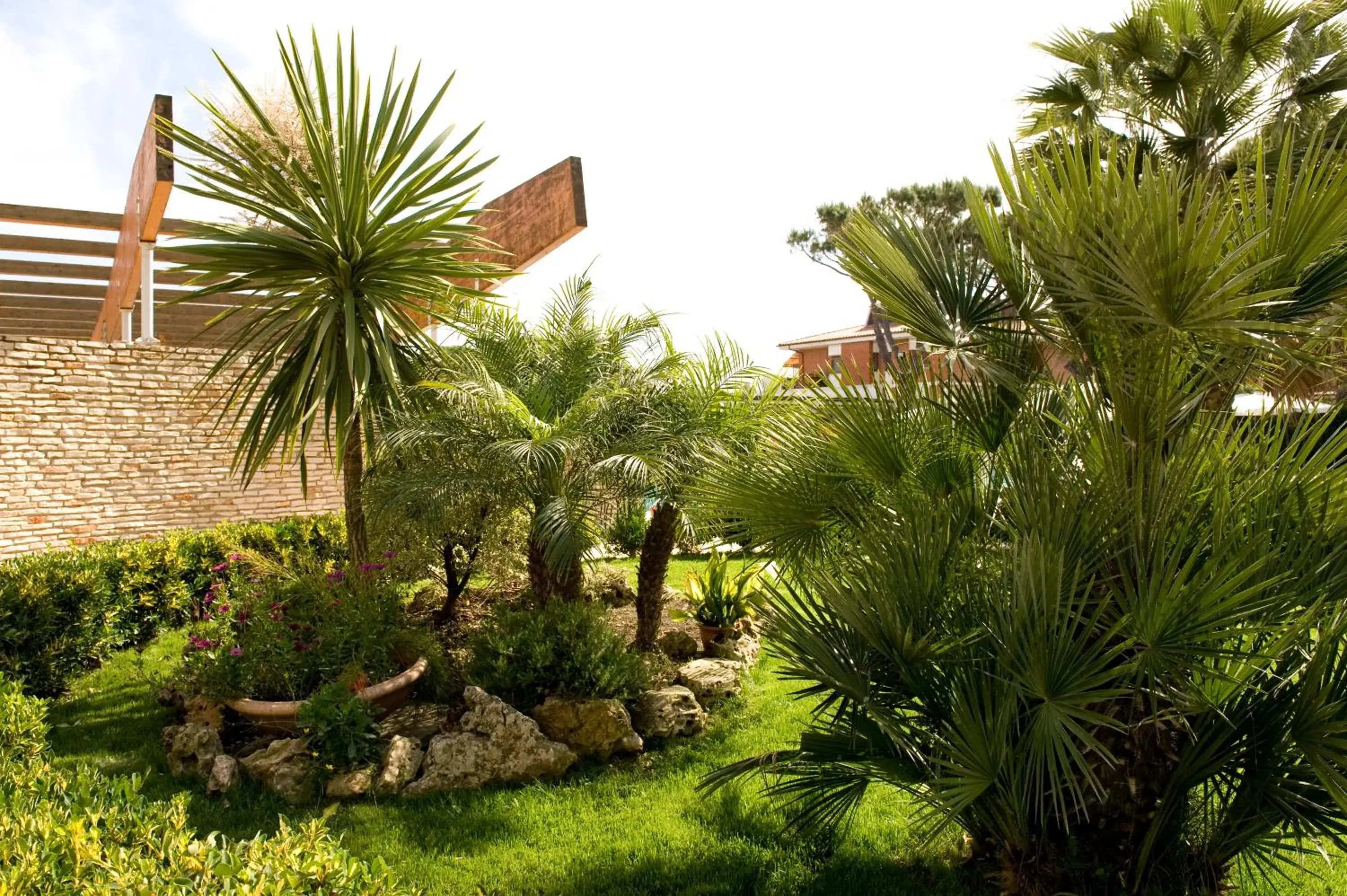 Garden in Albergo Mediterraneo