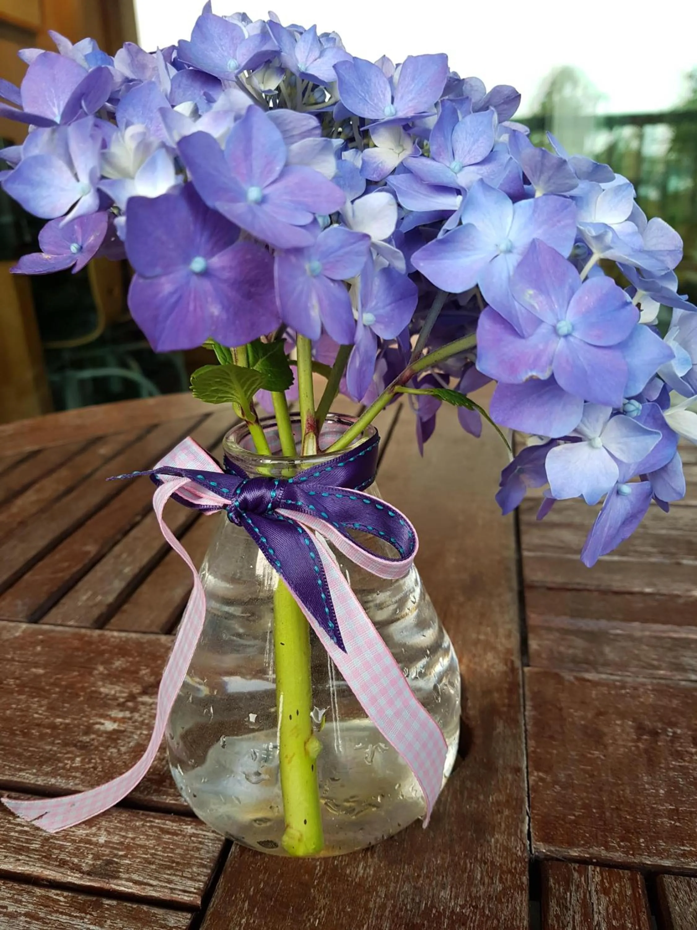 Garden in Jeju Eco Suites