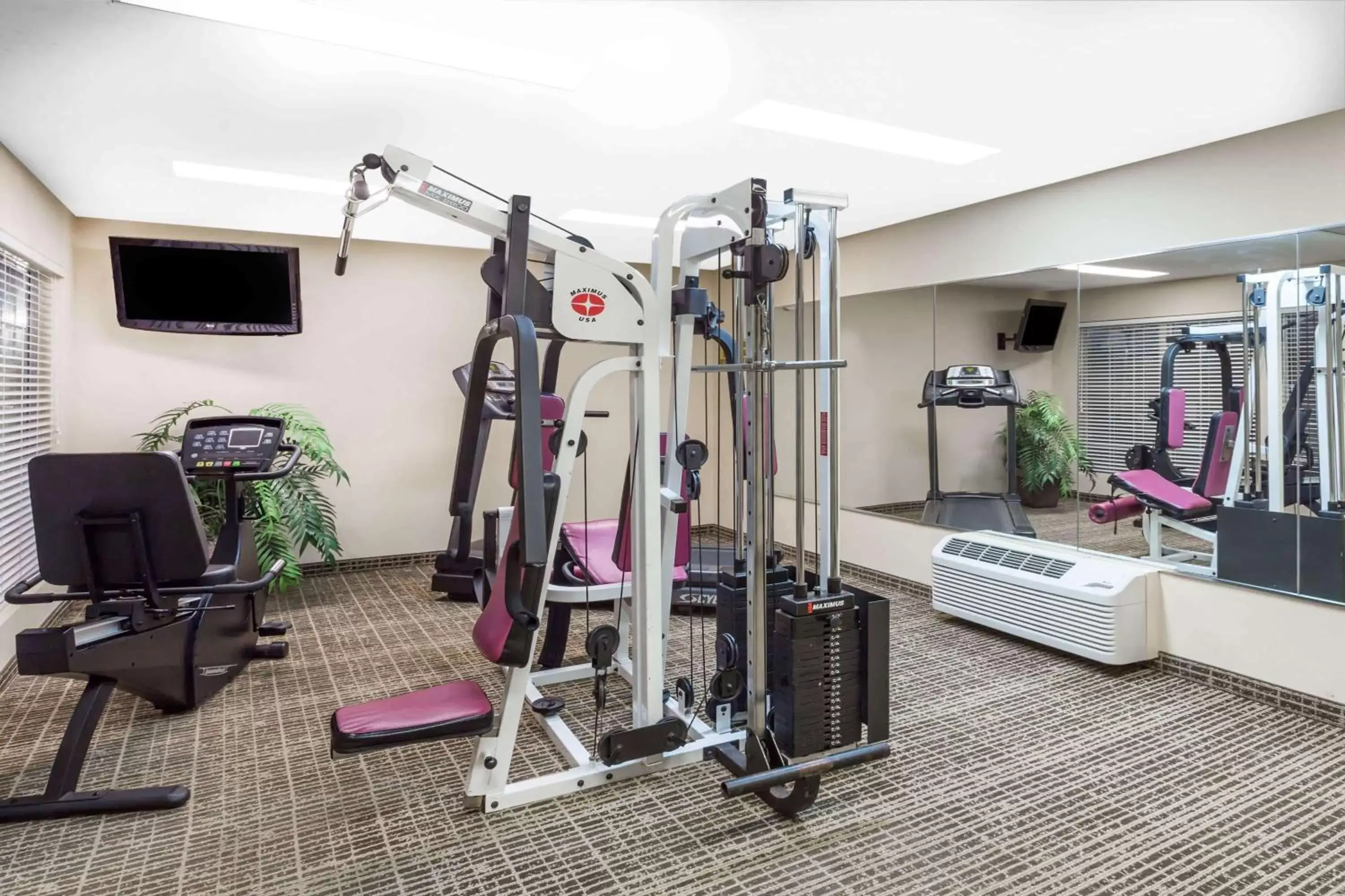 Fitness centre/facilities, Fitness Center/Facilities in Baymont by Wyndham Eden