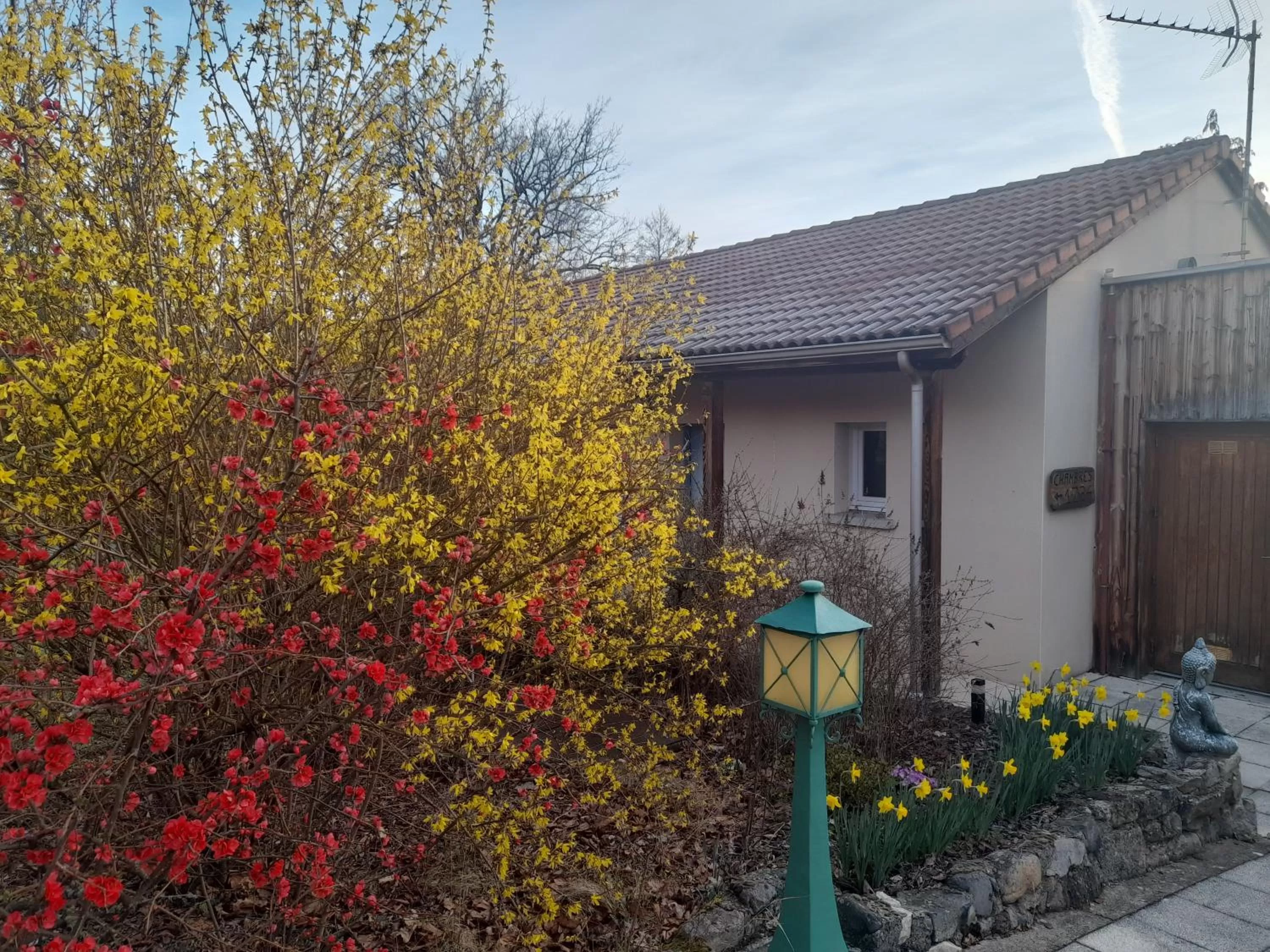Garden view in Hotel de l'Ile d'Amour