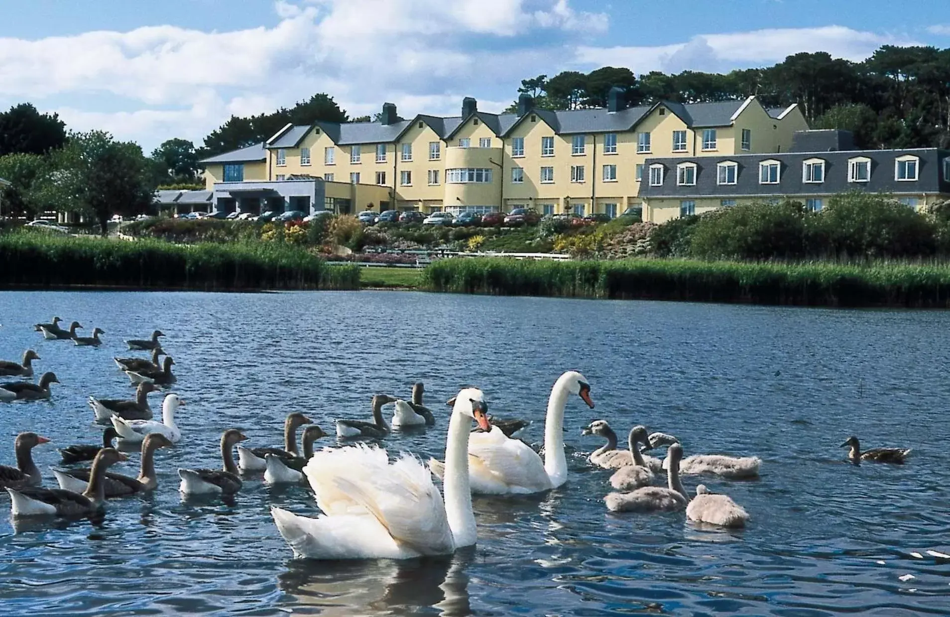 Property building, Other Animals in Arklow Bay Hotel and Leisure Club