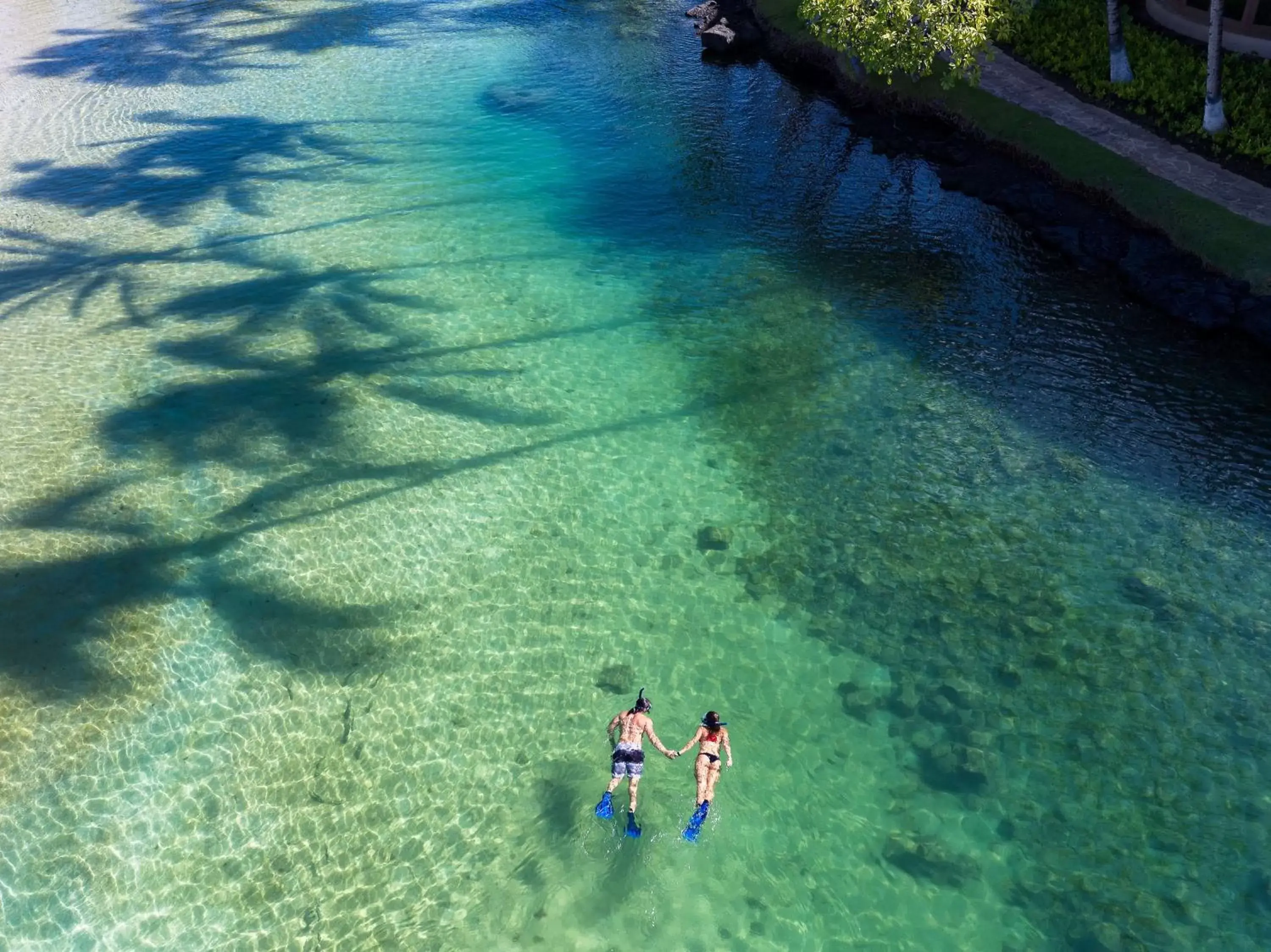 Pool view, Bird's-eye View in Hilton Waikoloa Village