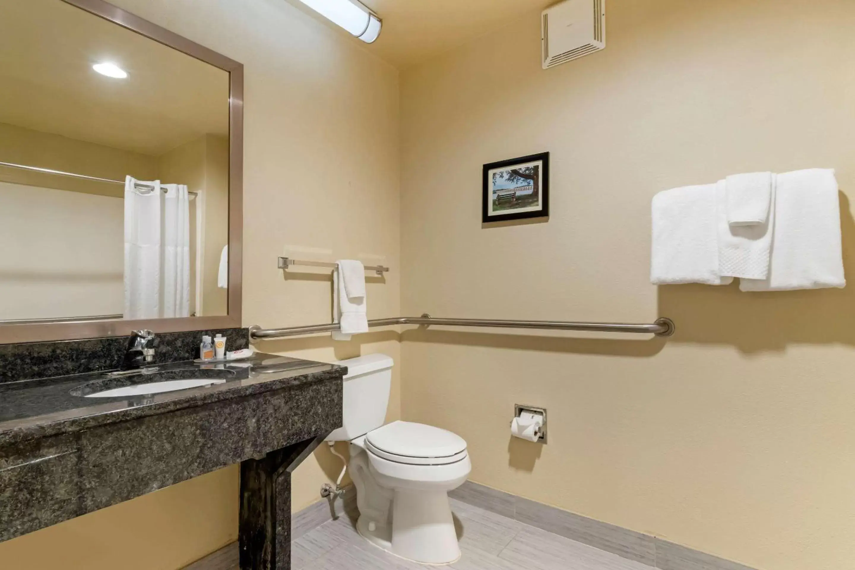 Bathroom in Comfort Inn Mechanicsburg – Harrisburg South